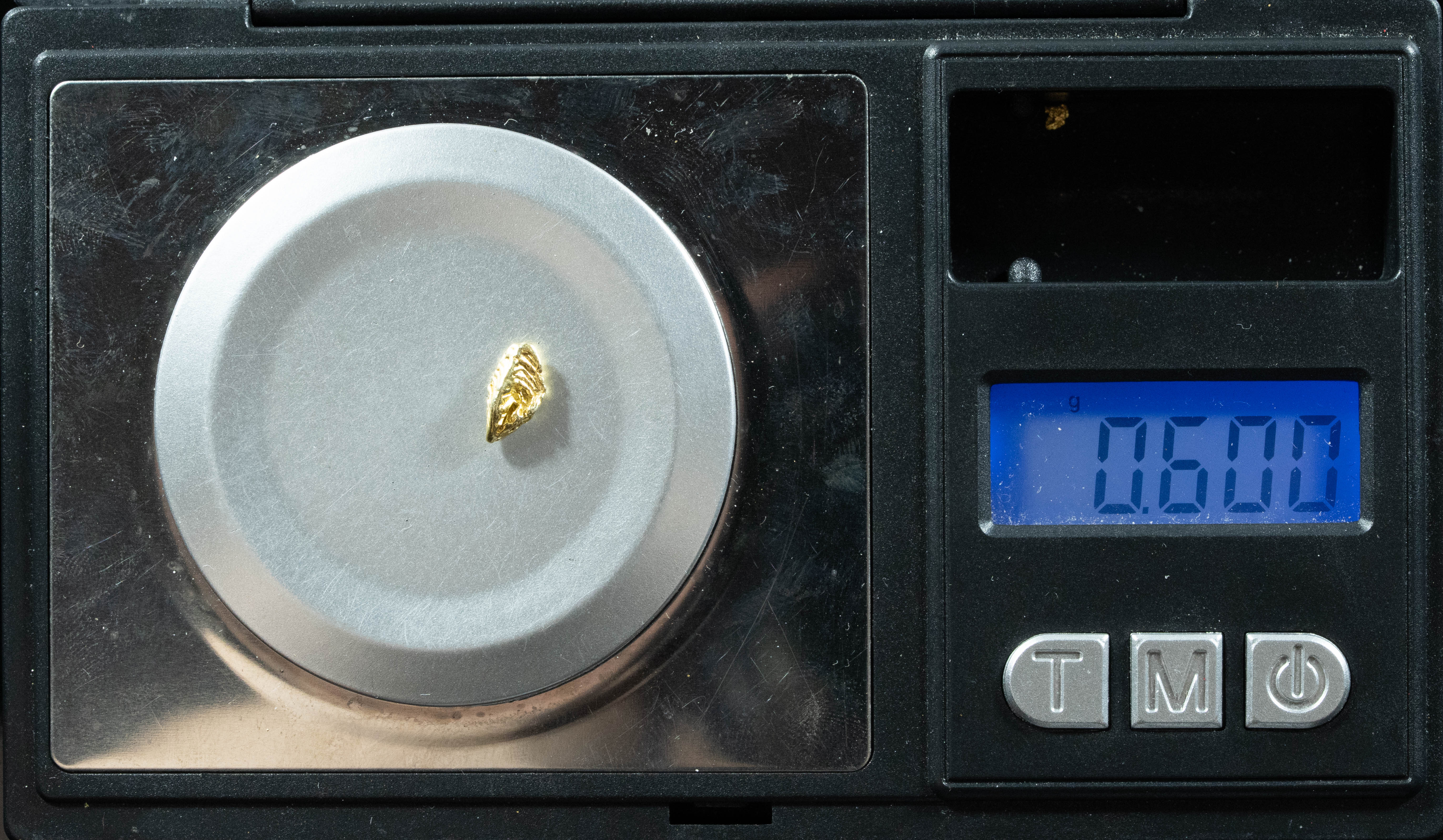 L-55 Dendritic Exotic Alaskan BC Natural Gold Nugget .60 Grams Genuine