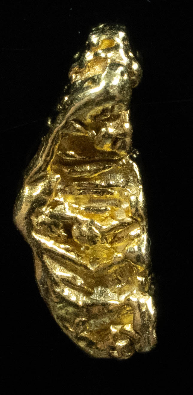 L-56 Exotic Dendritic Alaskan BC Natural Gold Nugget .794 Grams Genuine