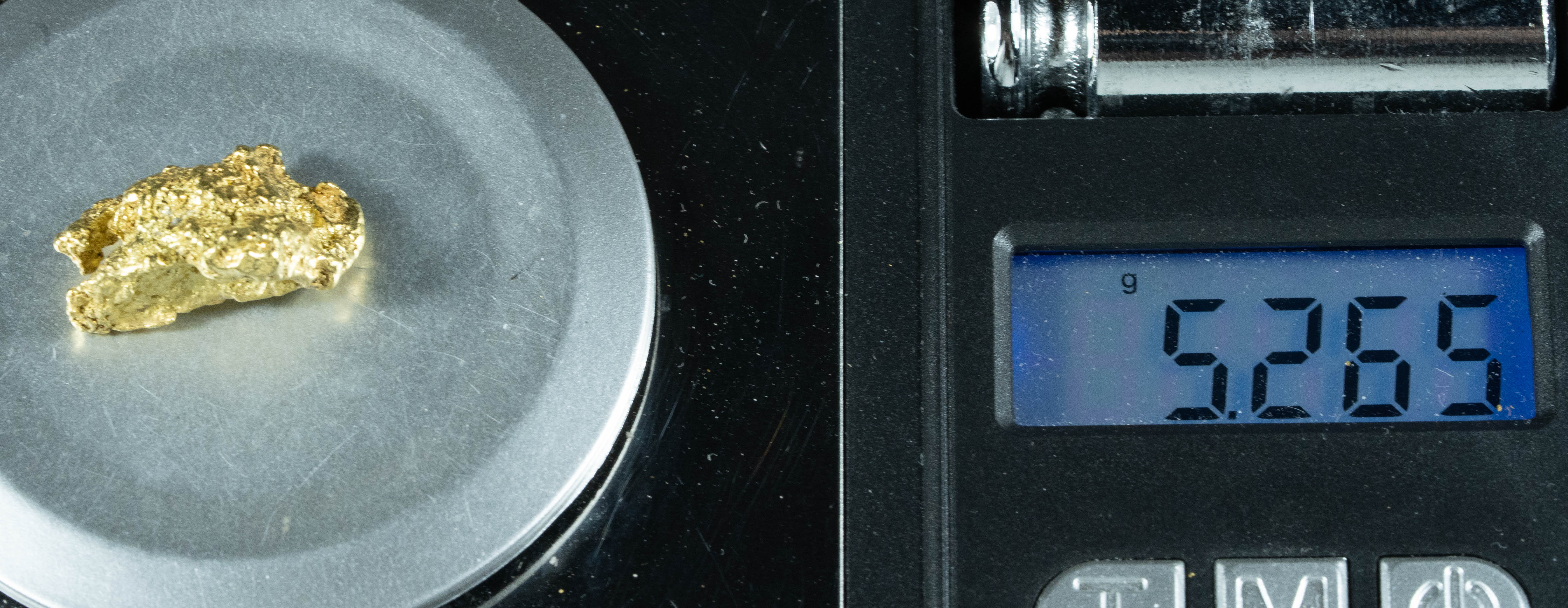 #469 Alaskan BC Natural Gold Nugget 5.26 Grams Genuine