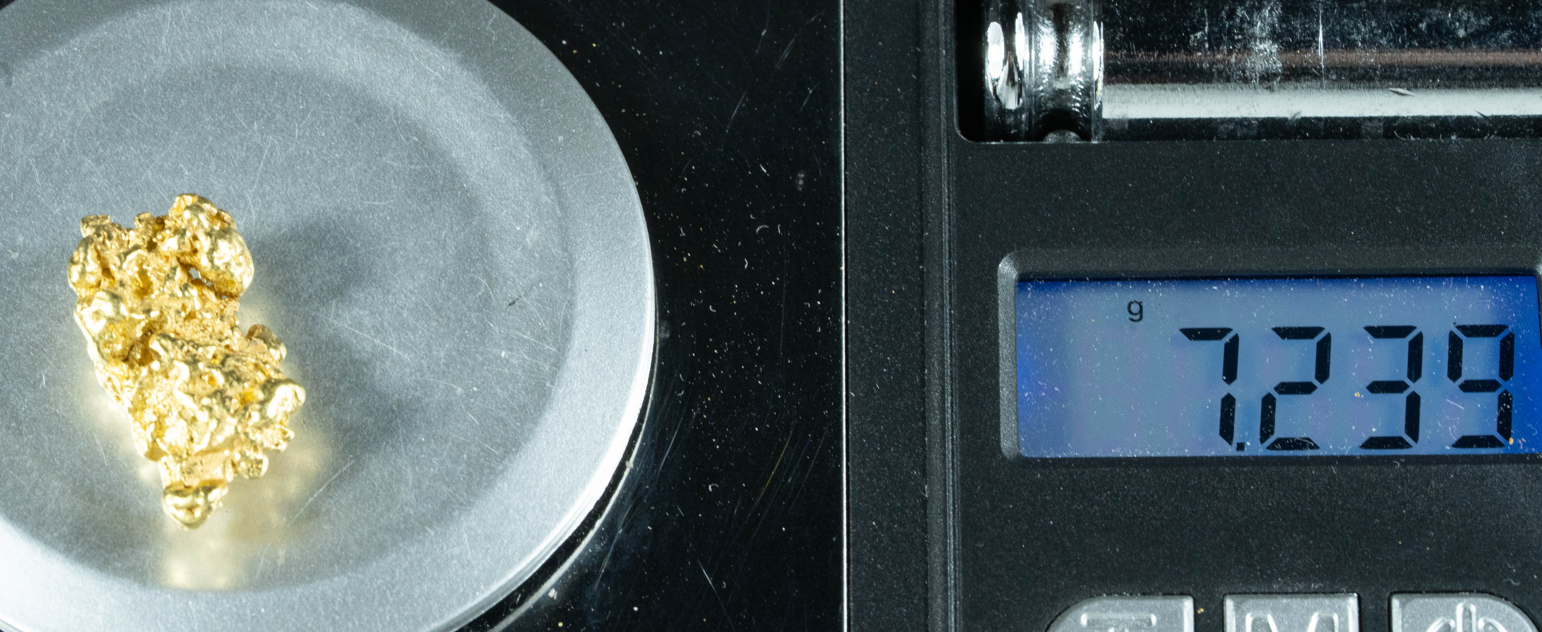 #493 Alaskan BC Natural Gold Nugget 7.23 Grams Genuine