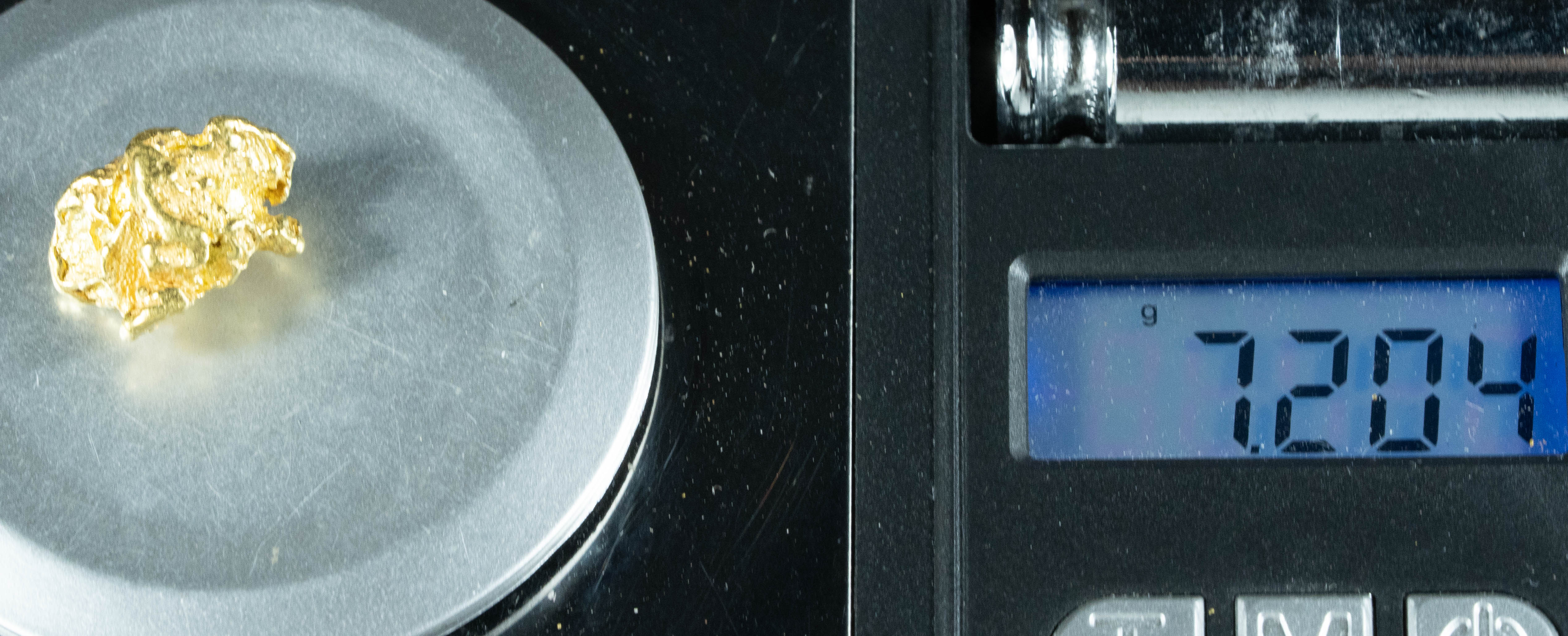 #499 Alaskan BC Natural Gold Nugget 7.20 Grams Genuine