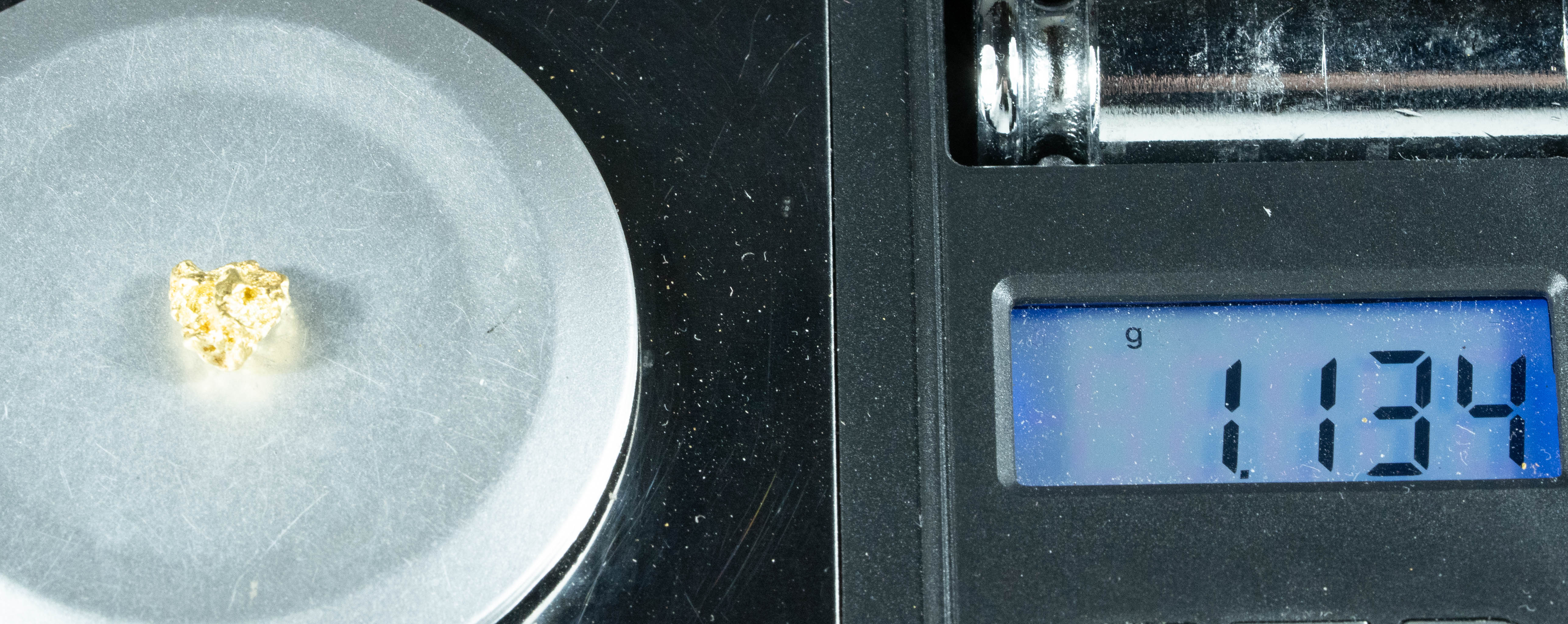 #119 Alaskan BC Natural Gold Nugget 1.13 Grams Genuine