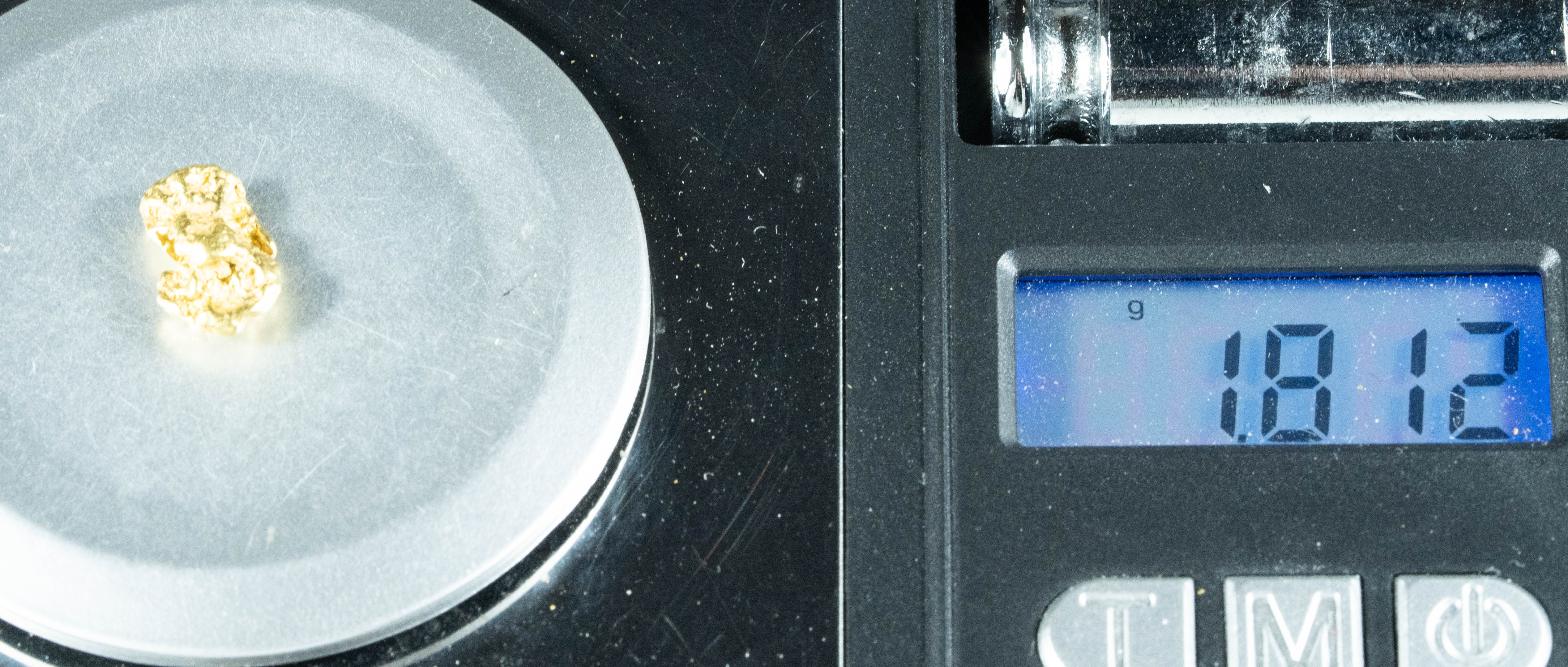 #130 Alaskan BC Natural Gold Nugget 1.81 Grams Genuine