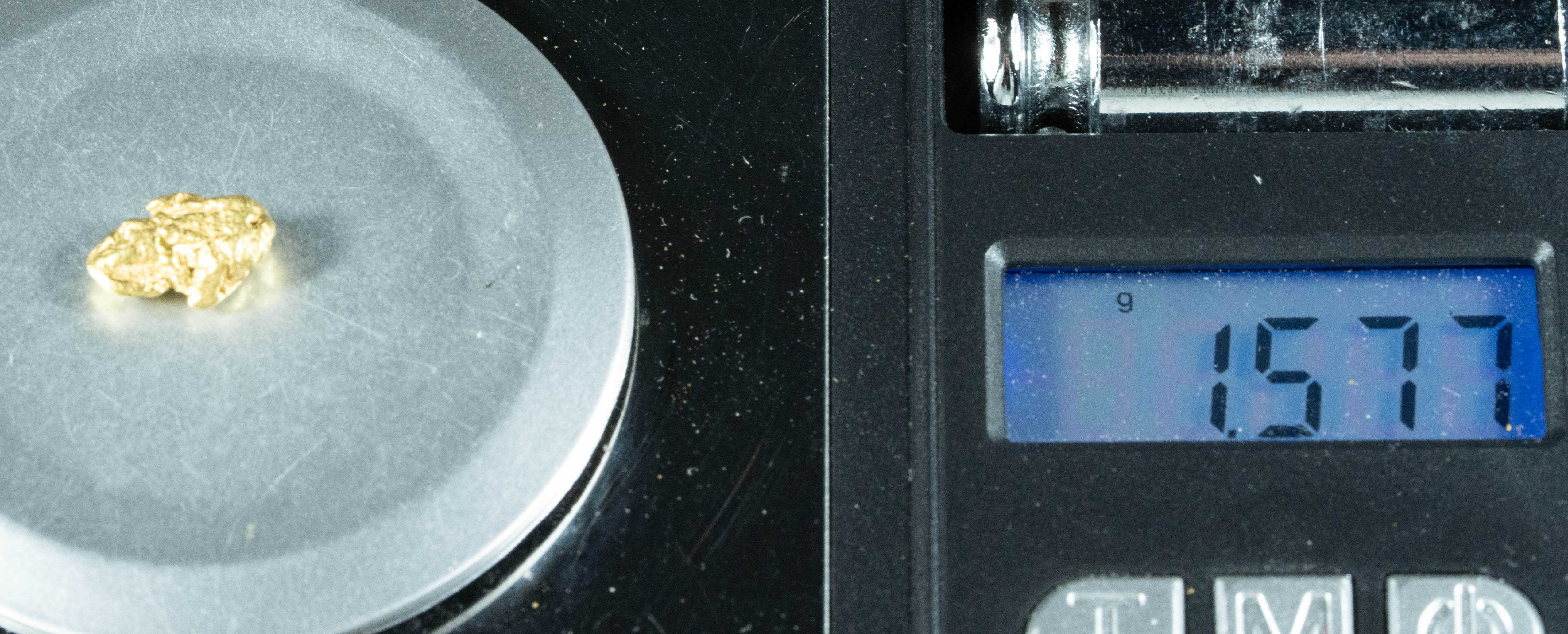 #133 Alaskan BC Natural Gold Nugget 1.57 Grams Genuine