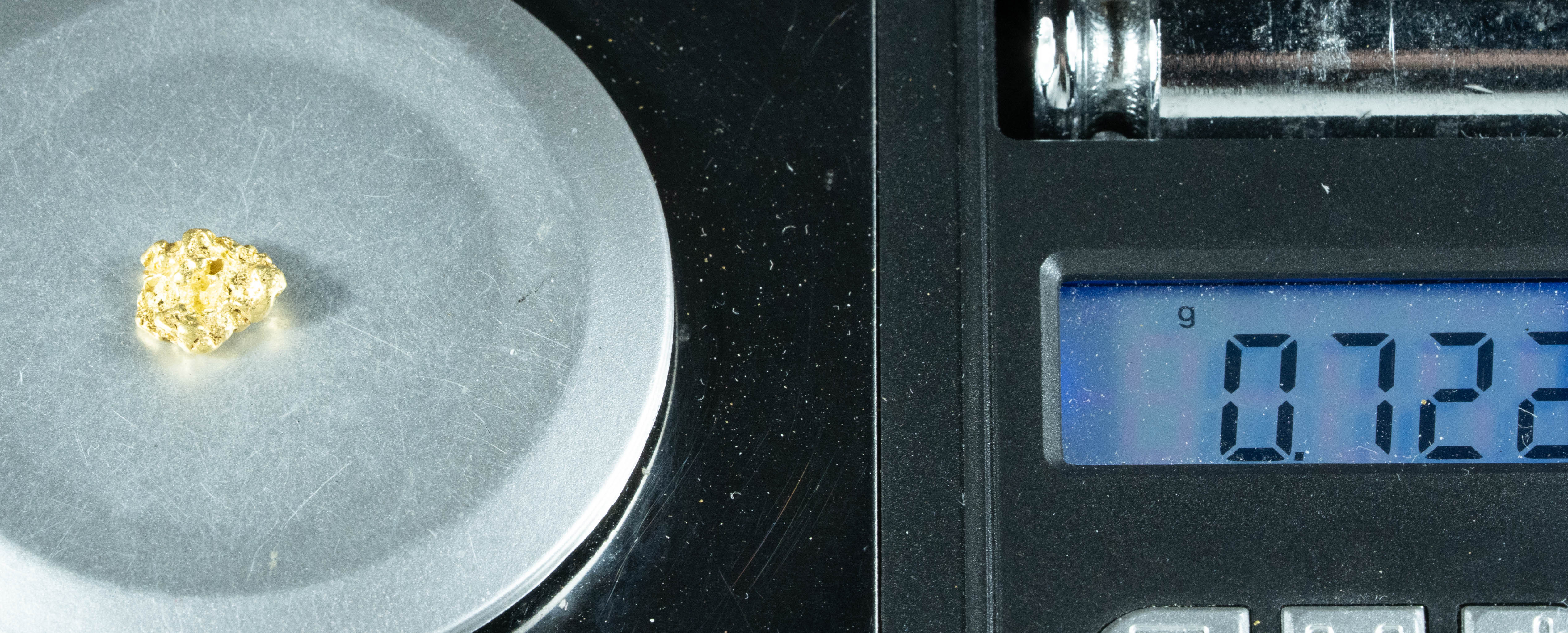 #137 Alaskan BC Natural Gold Nugget .72 Grams Genuine