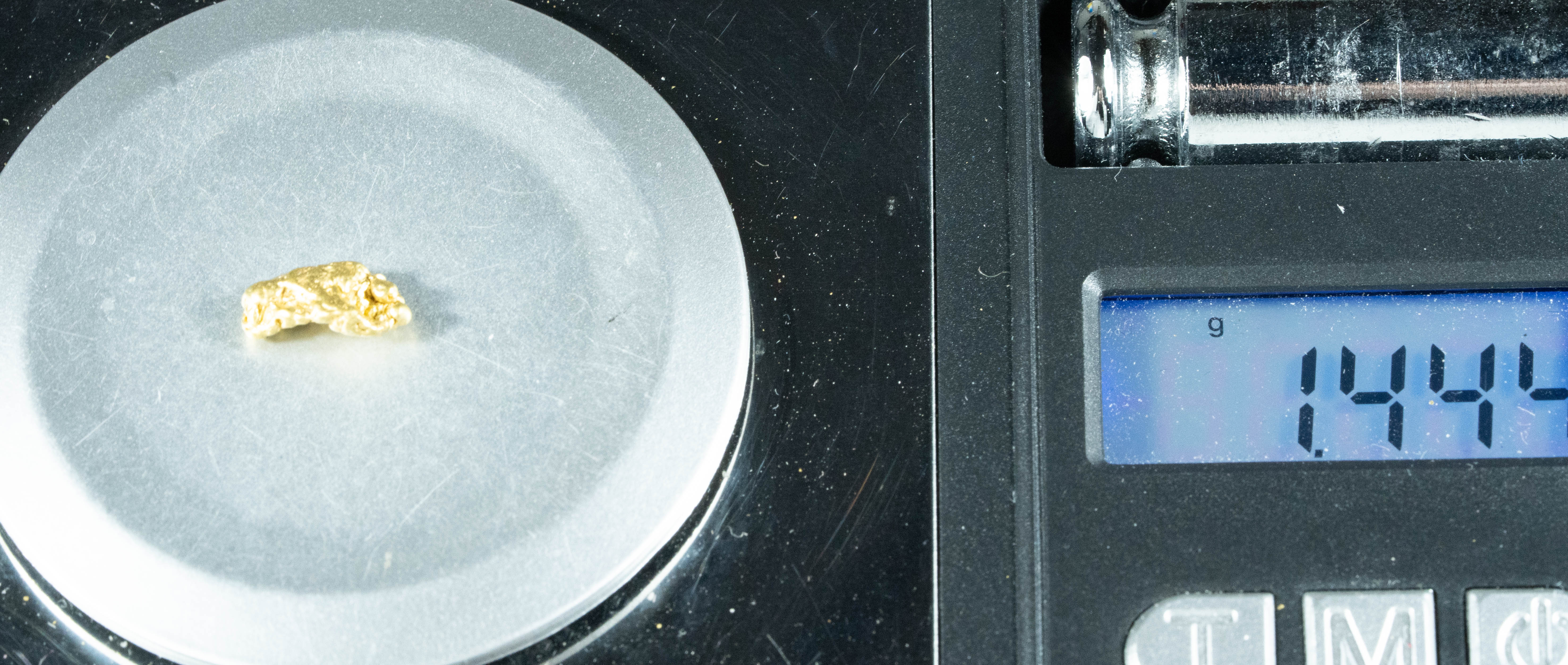 #139 Alaskan BC Natural Gold Nugget 1.44 Grams Genuine