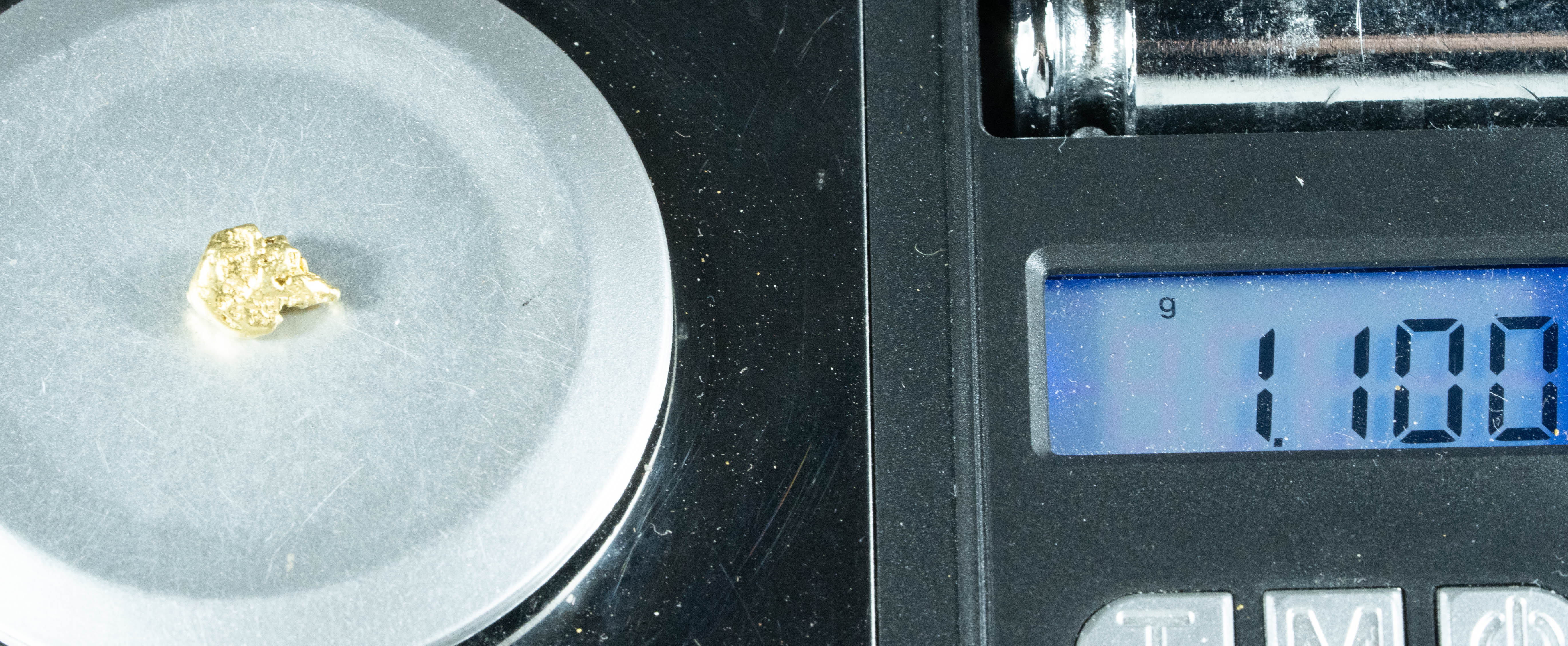 #140 Alaskan BC Natural Gold Nugget 1.10 Grams Genuine