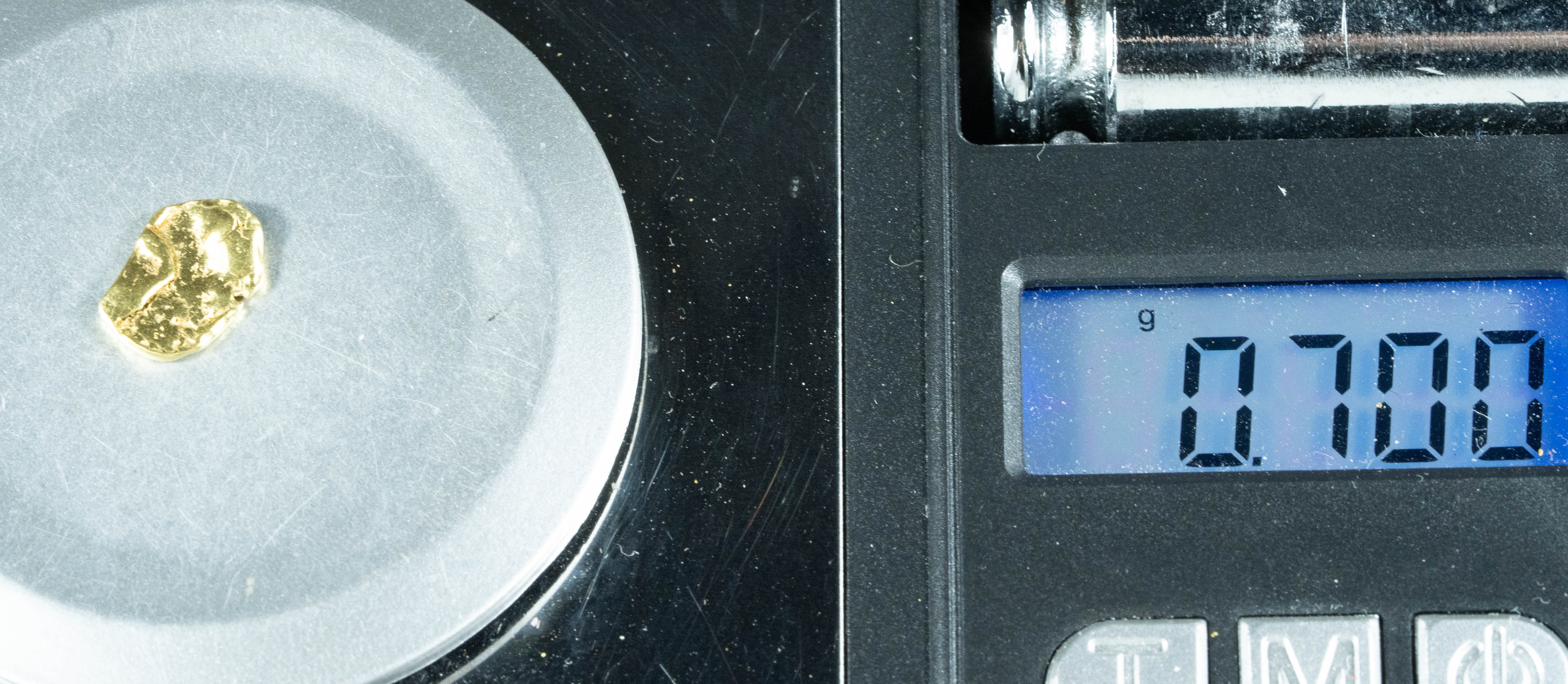 #141 Alaskan BC Natural Gold Nugget .70 Grams Genuine