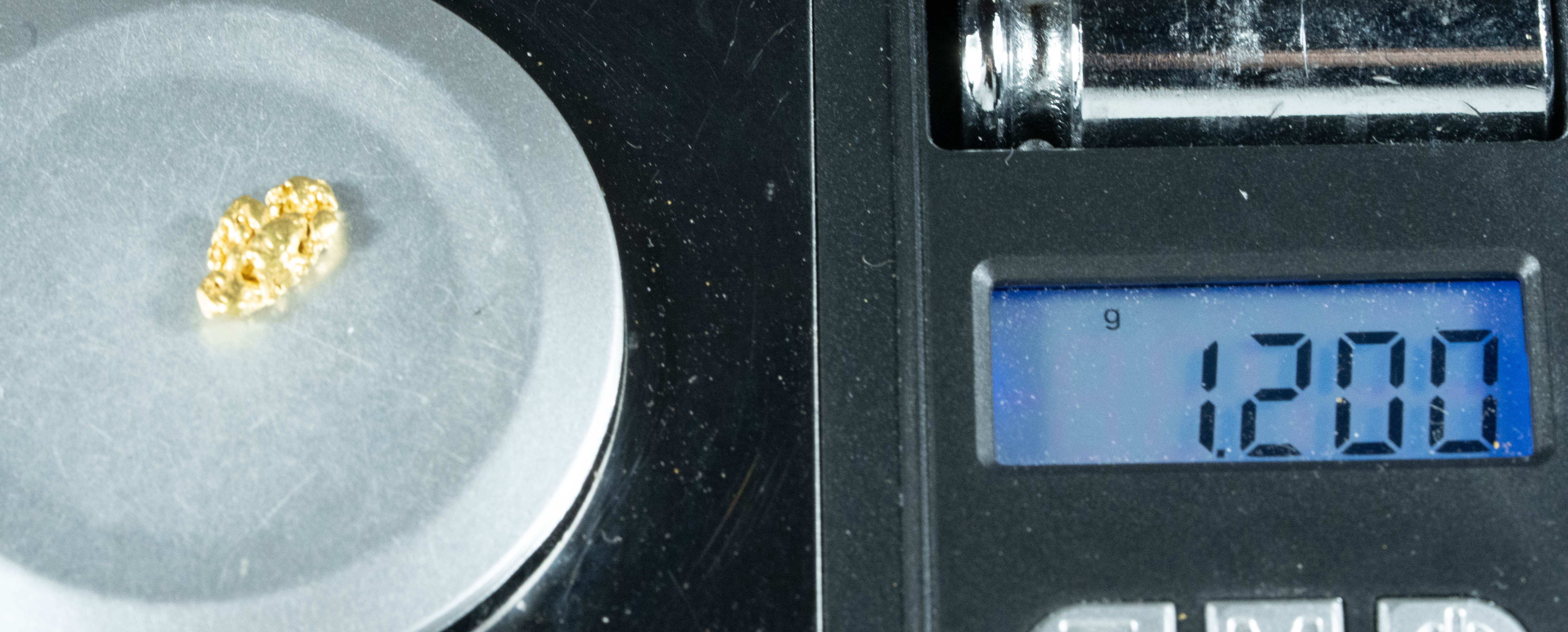 #142 Alaskan BC Natural Gold Nugget 1.20 Grams Genuine