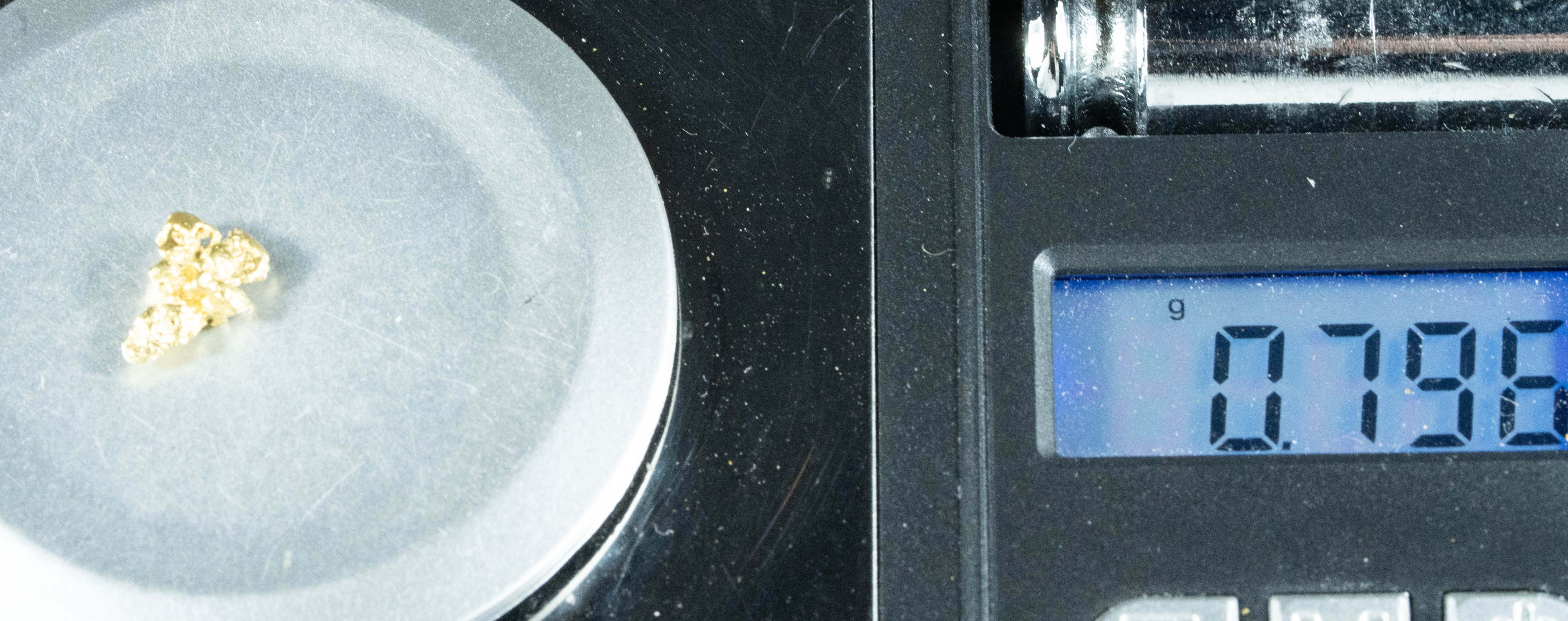 #144 Alaskan BC Natural Gold Nugget .79 Grams Genuine