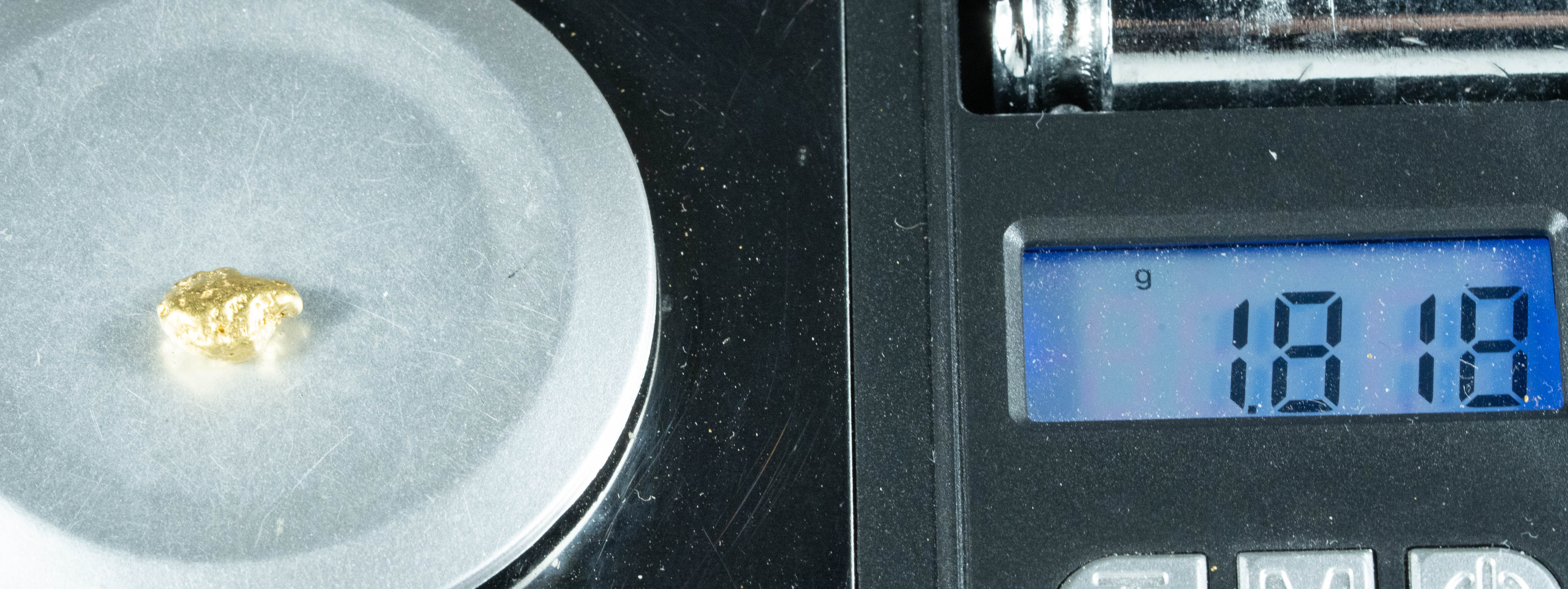 #146 Alaskan BC Natural Gold Nugget 1.81 Grams Genuine