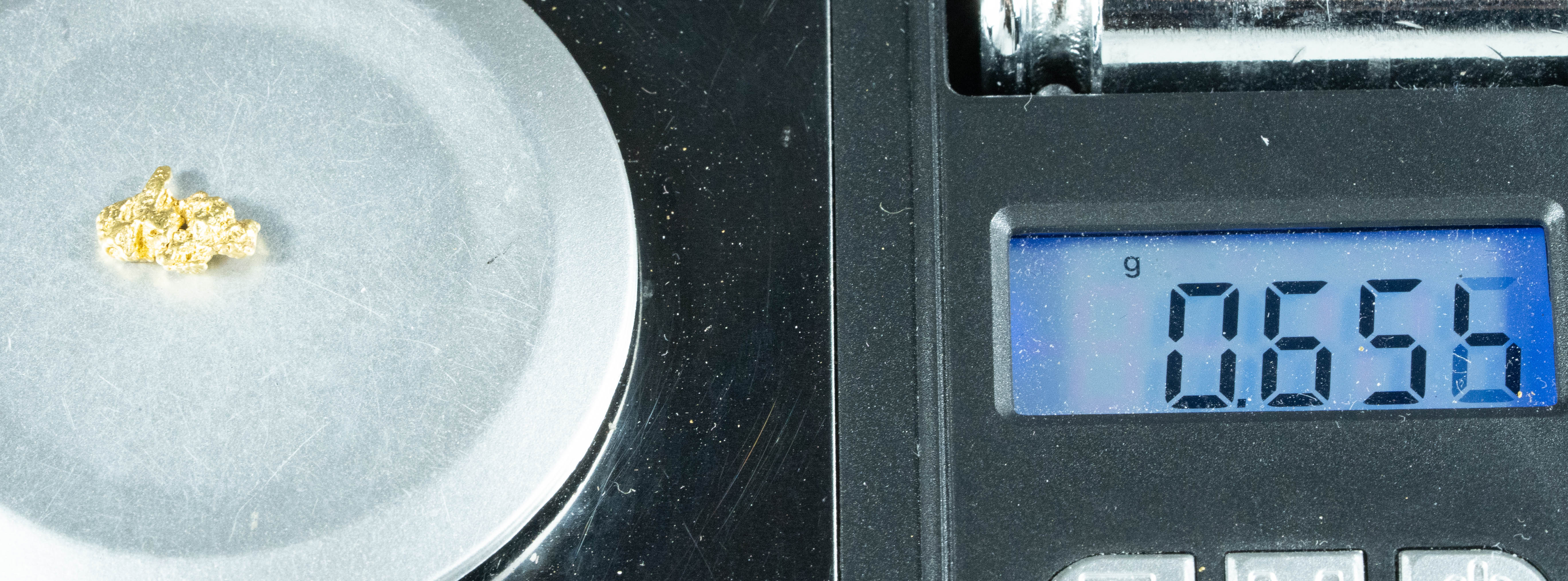 #149 Alaskan BC Natural Gold Nugget .65 Grams Genuine