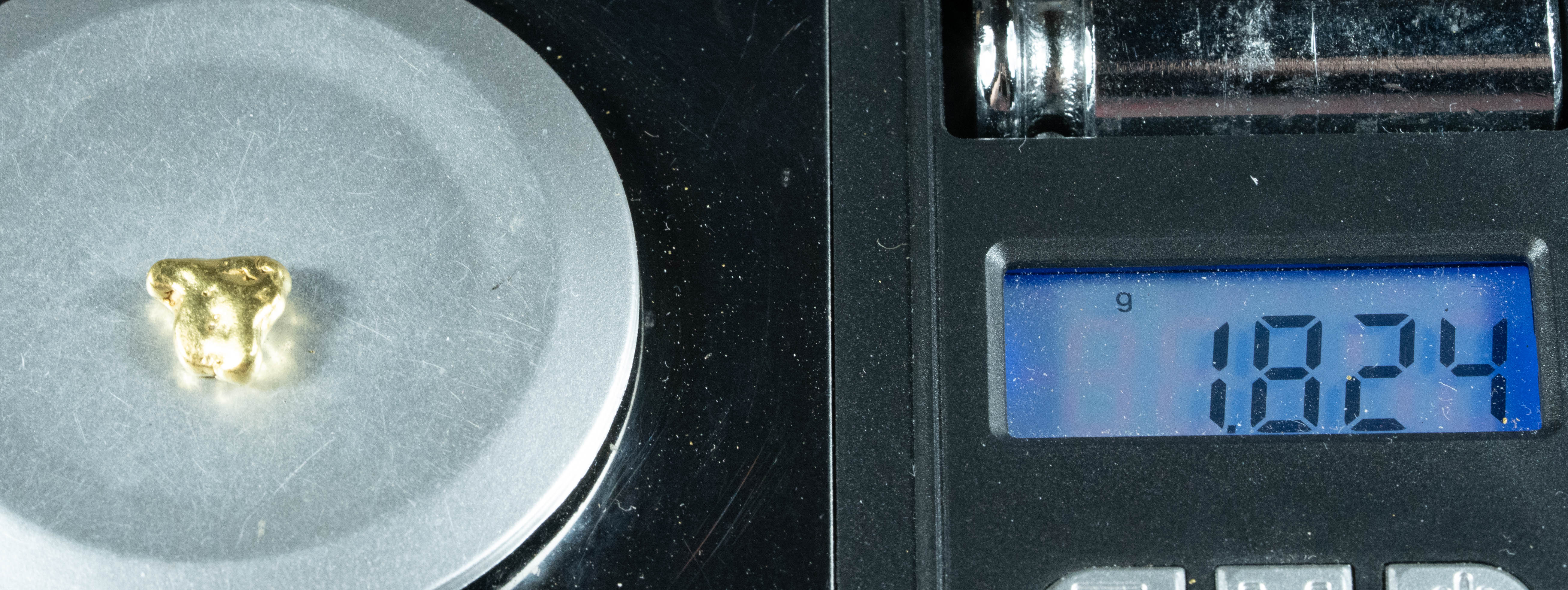 #164 Alaskan BC Natural Gold Nugget 1.82 Grams Genuine