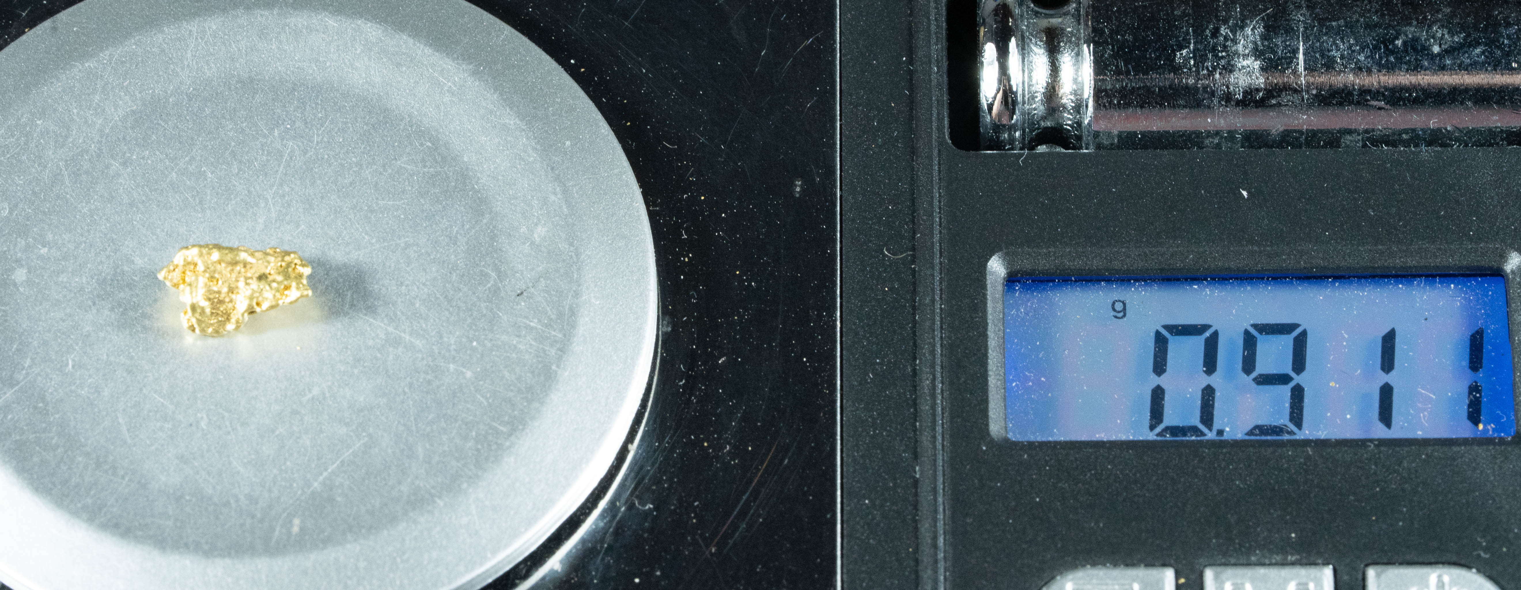 #167 Alaskan BC Natural Gold Nugget .91 Grams Genuine