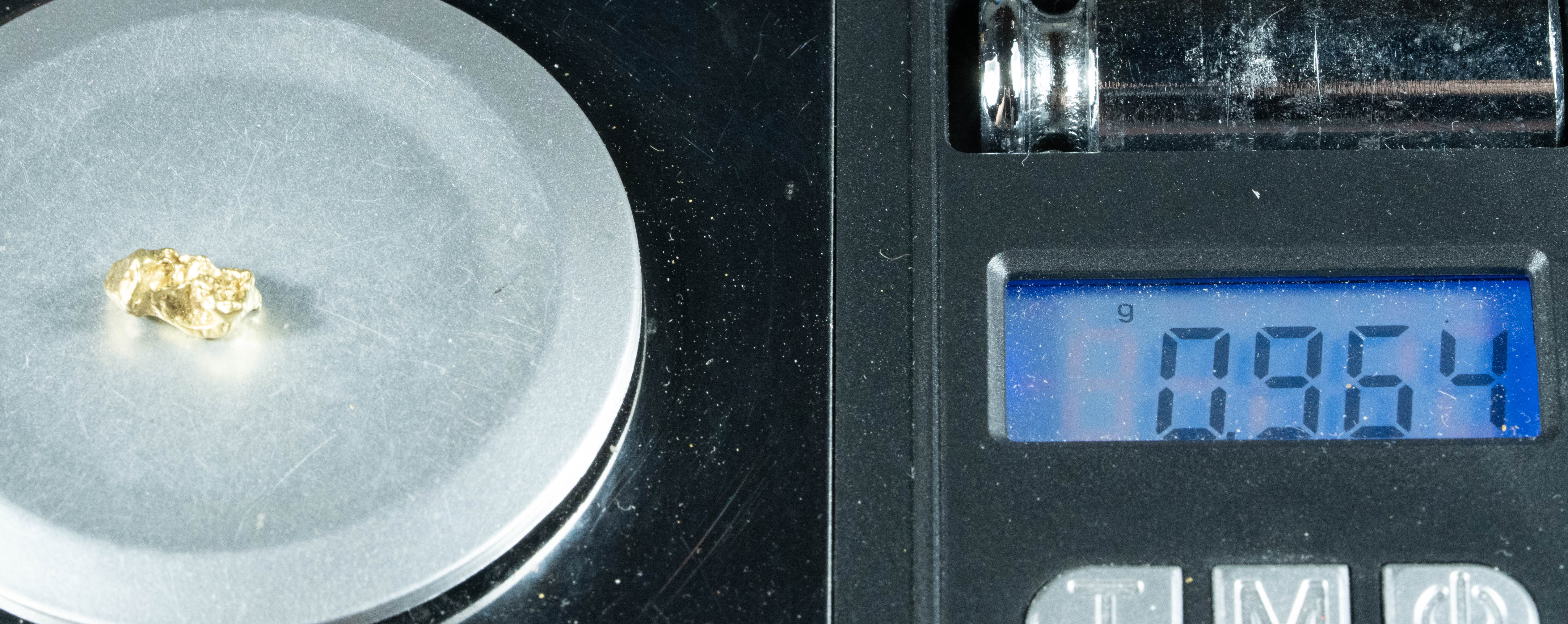 #169 Alaskan BC Natural Gold Nugget .96 Grams Genuine