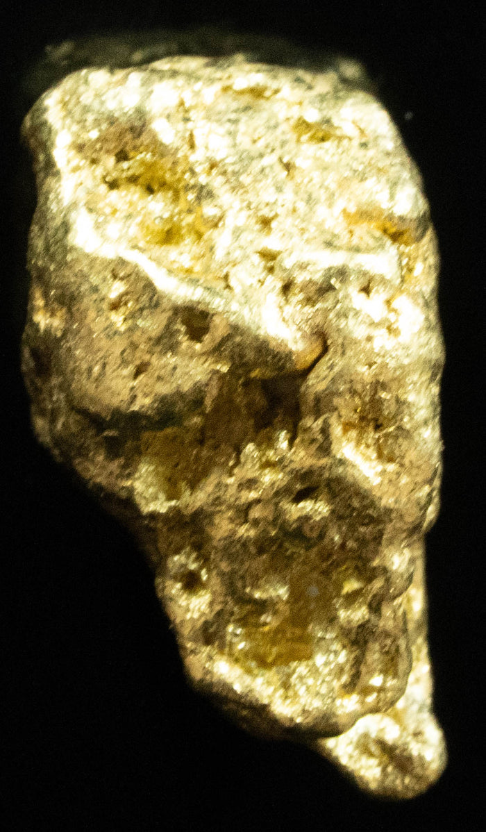 #408 Alaskan BC Natural Gold Nugget 7.42 Grams Genuine