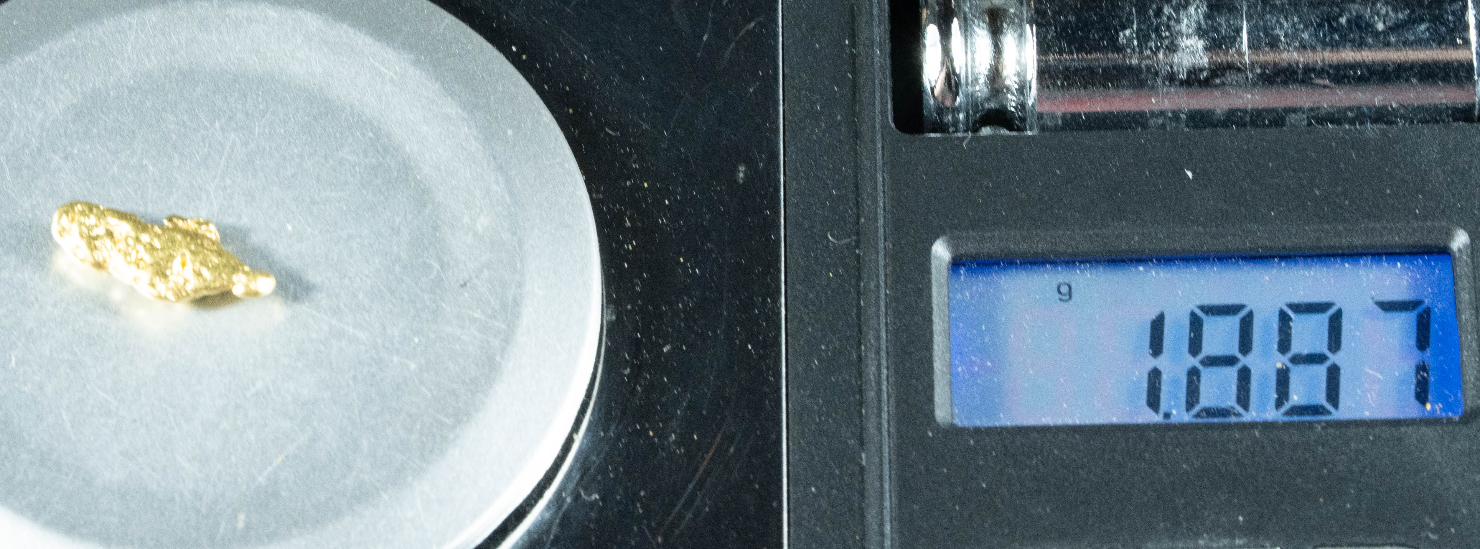 #173 Alaskan BC Natural Gold Nugget 1.88 Grams Genuine