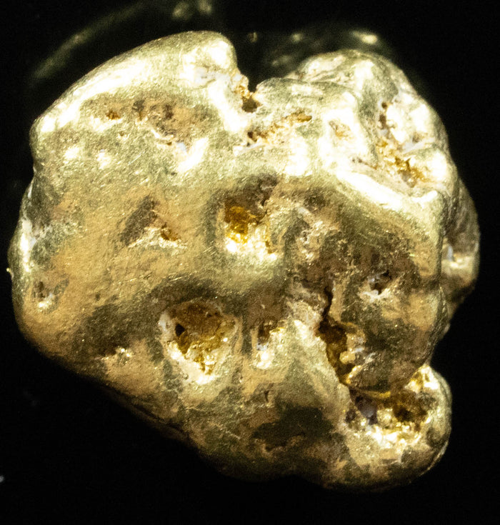 #412 Alaskan BC Natural Gold Nugget 7.32 Grams Genuine