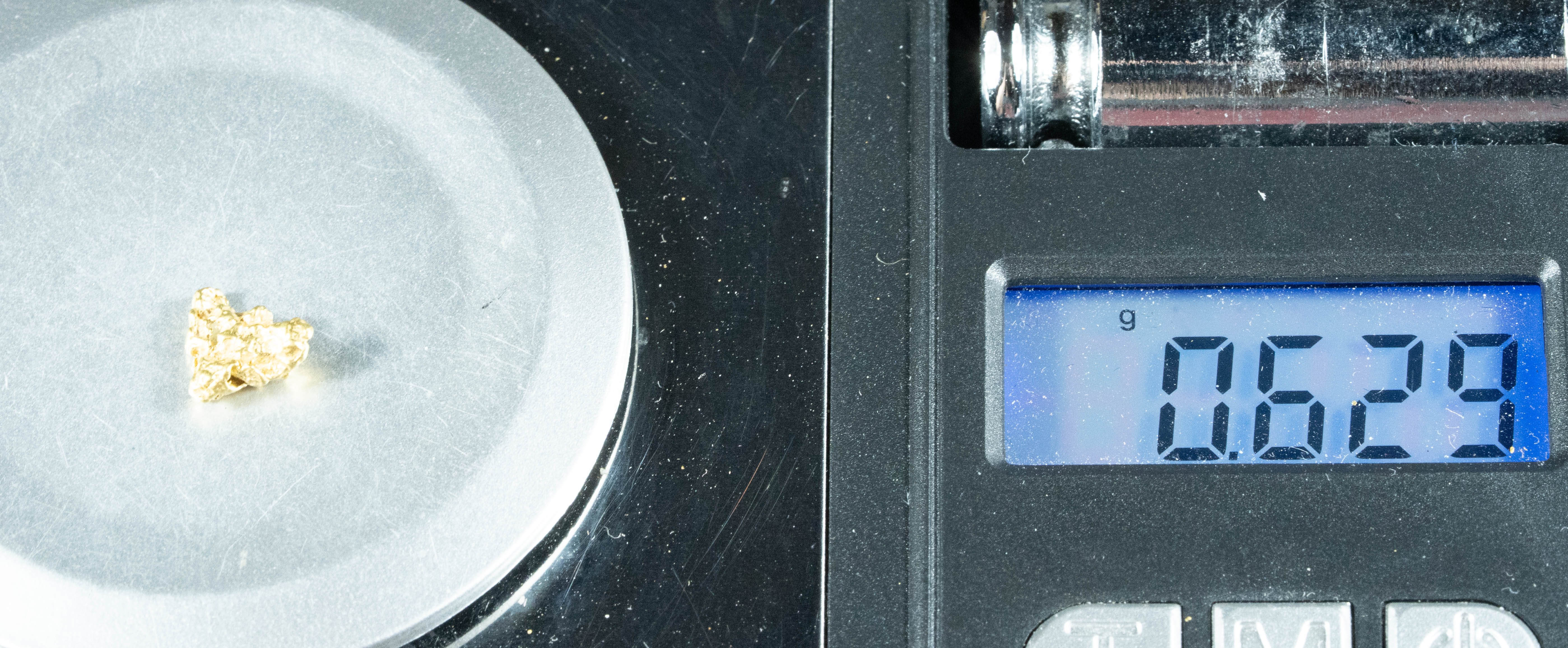 #180 Alaskan BC Natural Gold Nugget .62 Grams Genuine