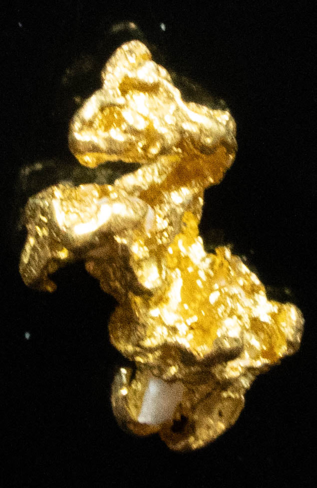 #739 Natural Gold Nugget Australian .69 Grams Genuine