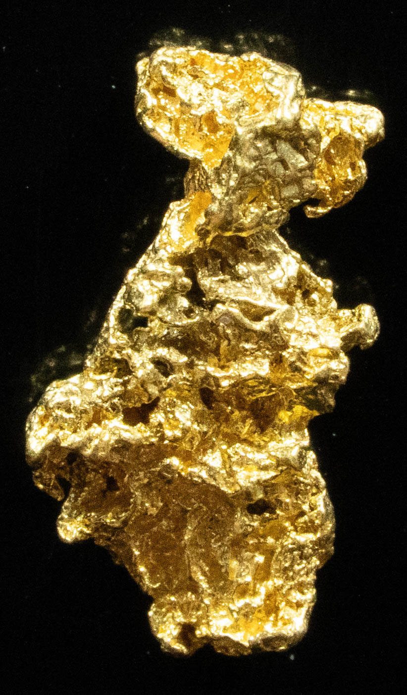 #748 Natural Gold Nugget Australian .867 Grams Genuine