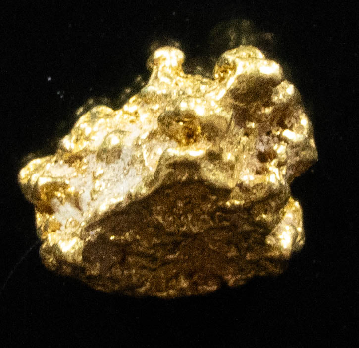#751 Natural Gold Nugget Australian .618 Grams Genuine