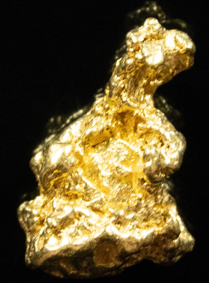 #902 Natural Gold Nugget Australian 3.87 Grams Genuine