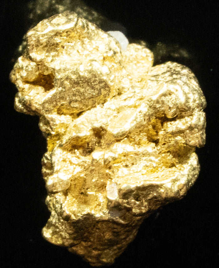 #903 Natural Gold Nugget Australian 3.35 Grams Genuine
