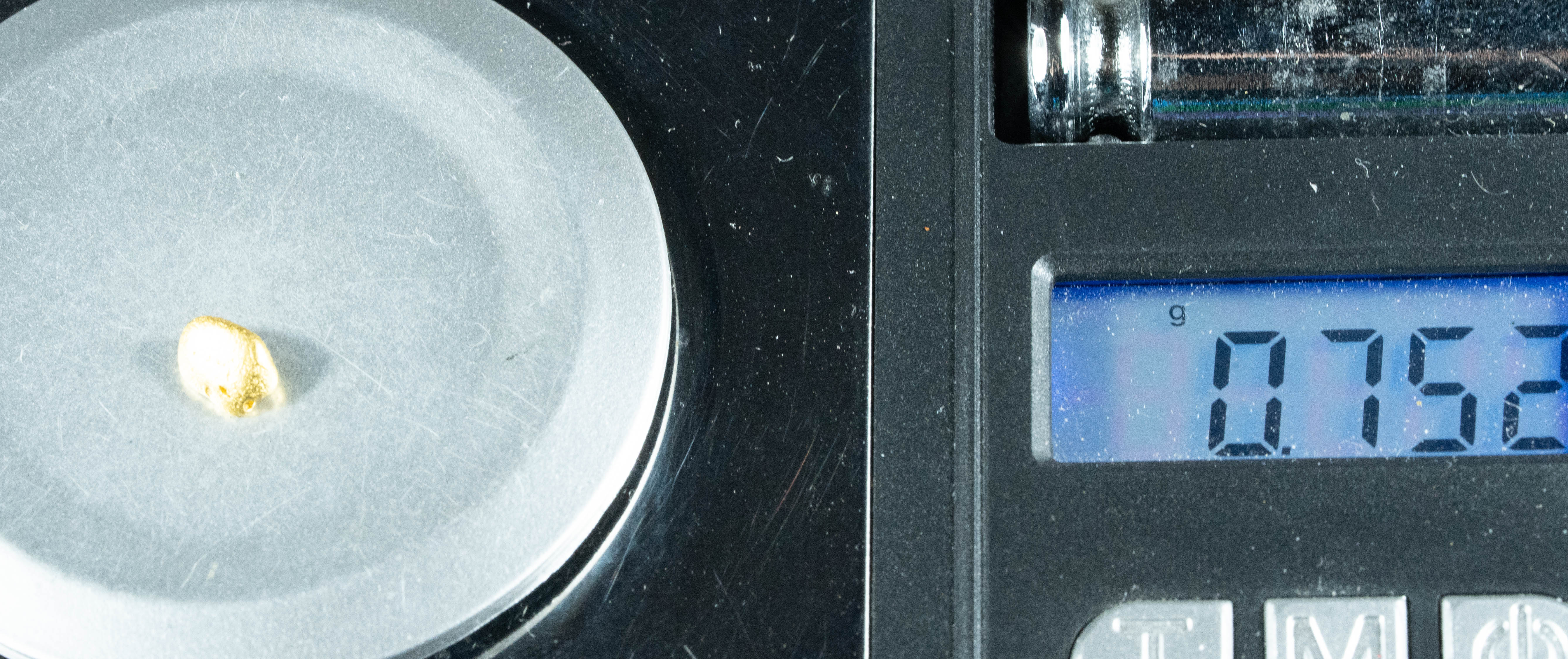 #768 Natural Gold Nugget Australian .75 Grams Genuine