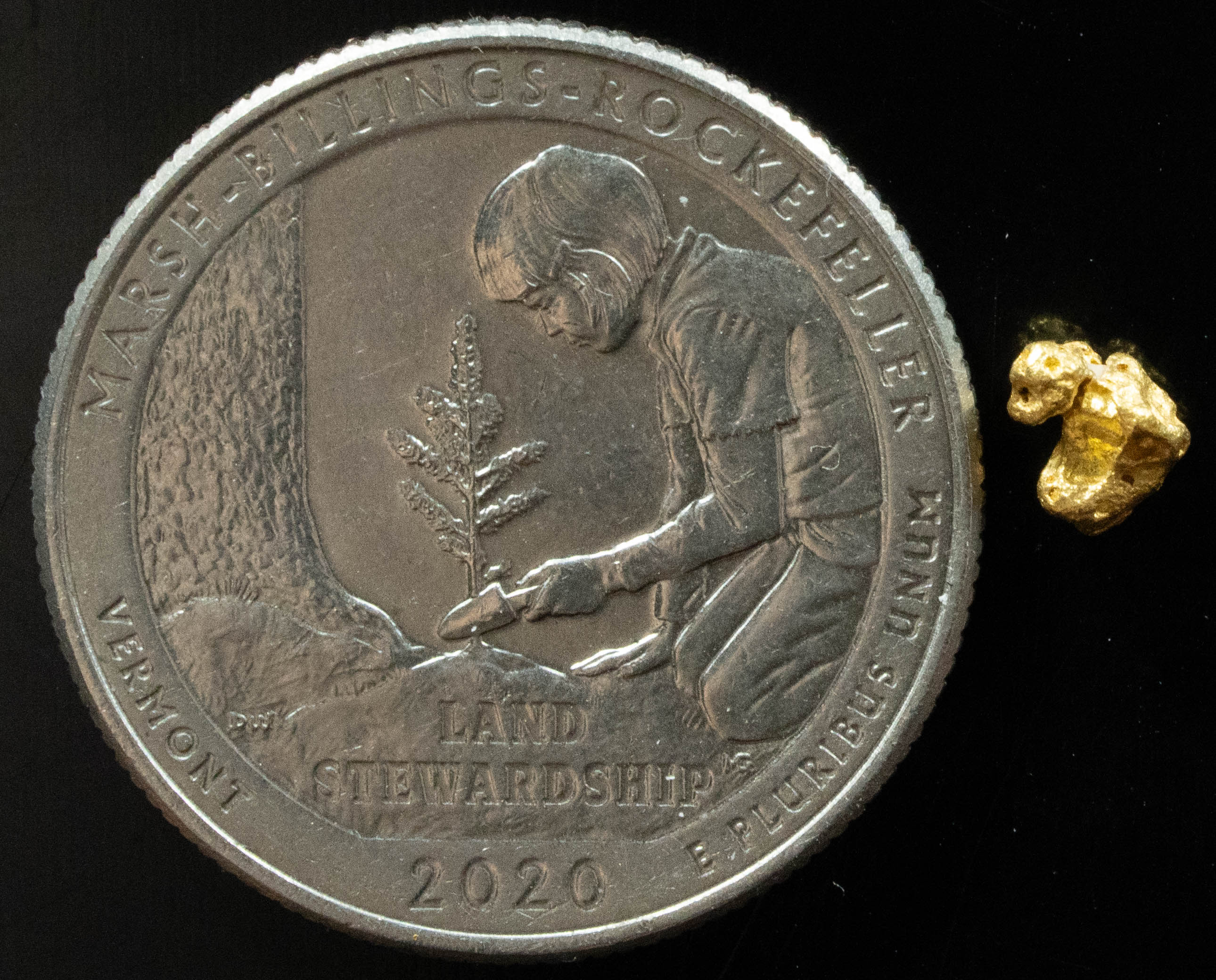 #739 Natural Gold Nugget Australian .40 Grams Genuine