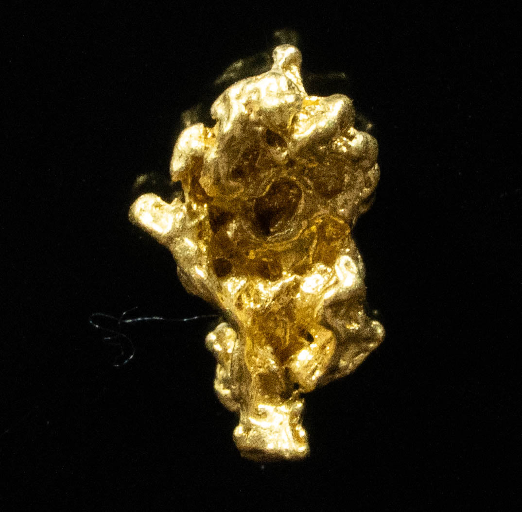 #766 Natural Gold Nugget Australian .478 Grams Genuine