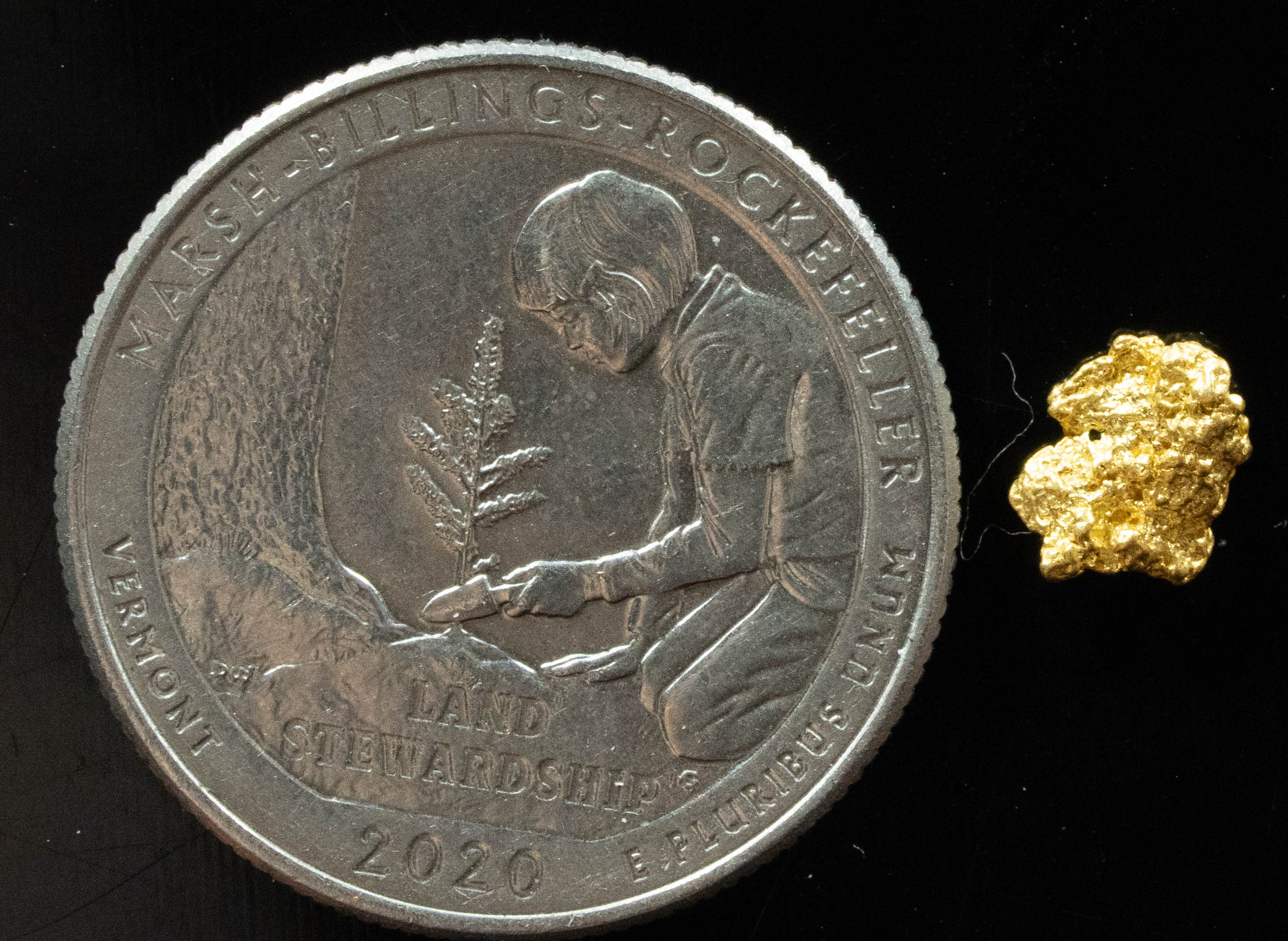 #783 Natural Gold Nugget Australian .469 Grams Genuine