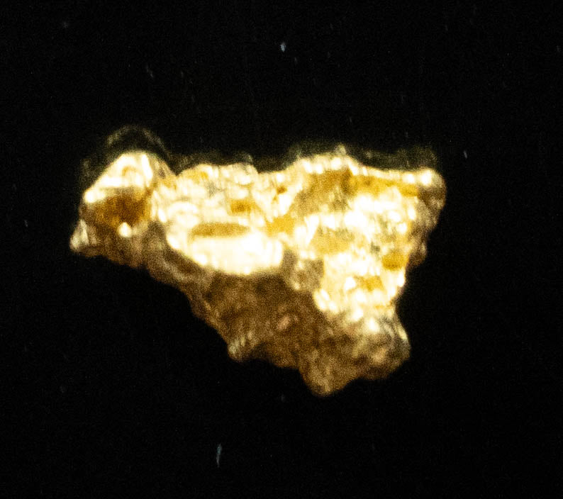 #808 Natural Gold Nugget Australian .451 Grams Genuine