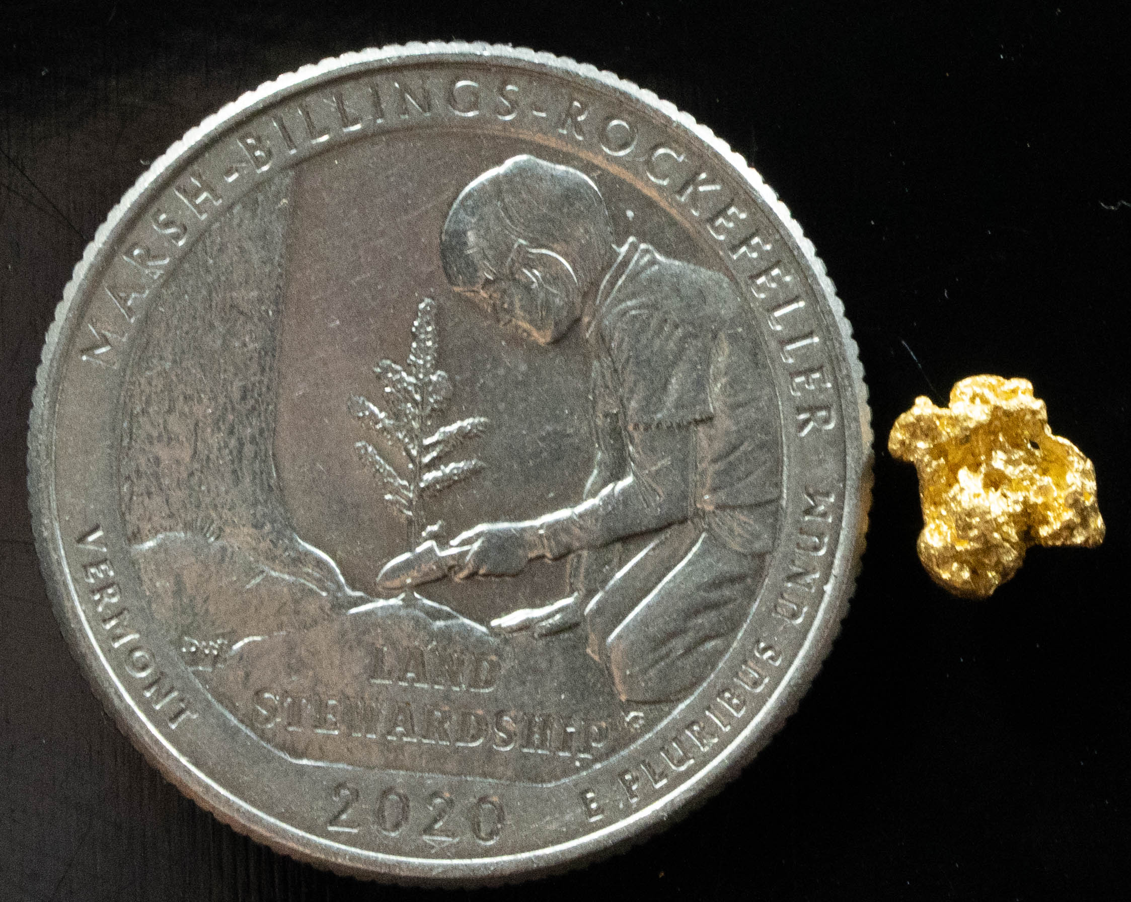 #819 Natural Gold Nugget Australian .449 Grams Genuine