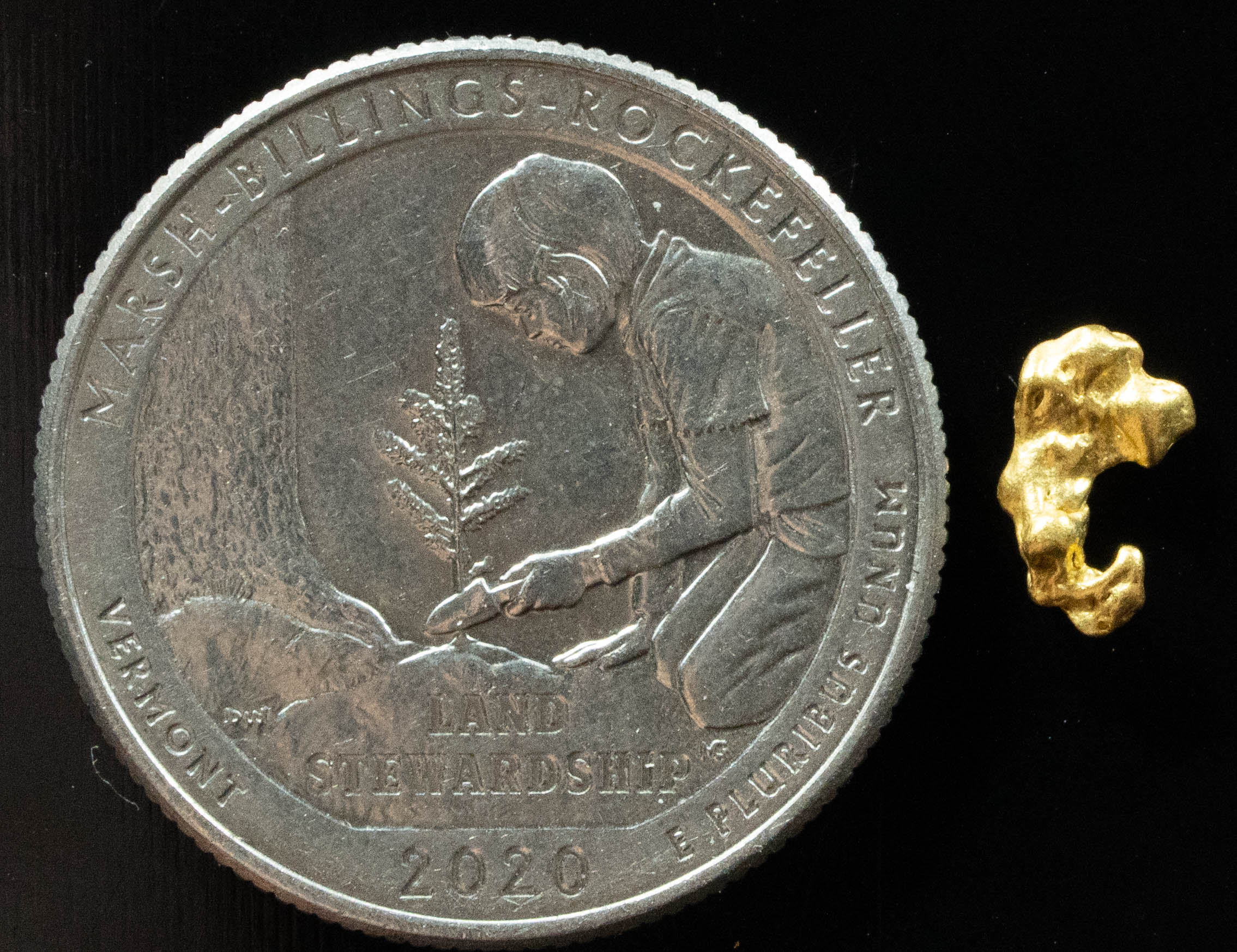 #821 Natural Gold Nugget Australian .455 Grams Genuine