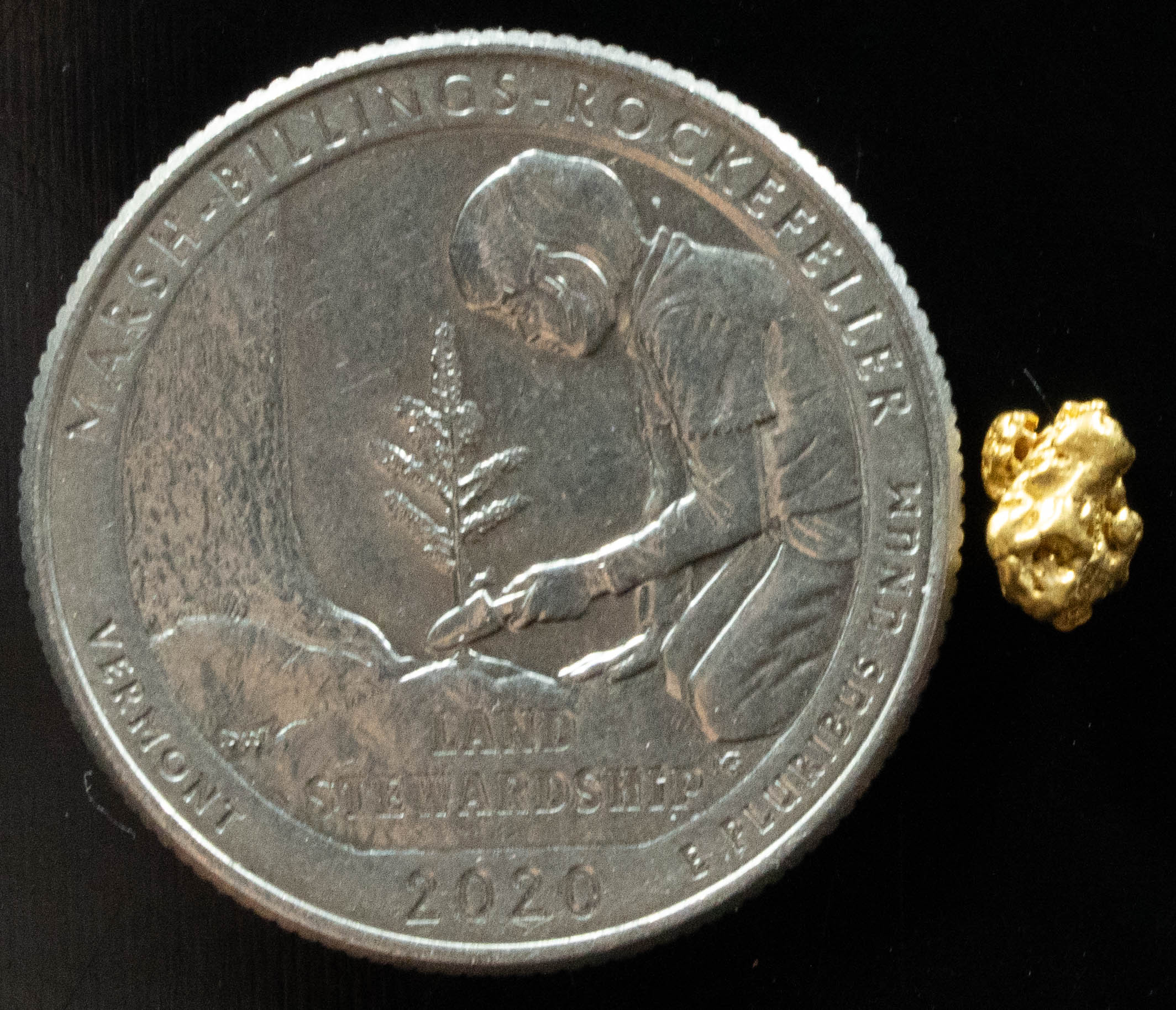 #822 Natural Gold Nugget Australian .487 Grams Genuine