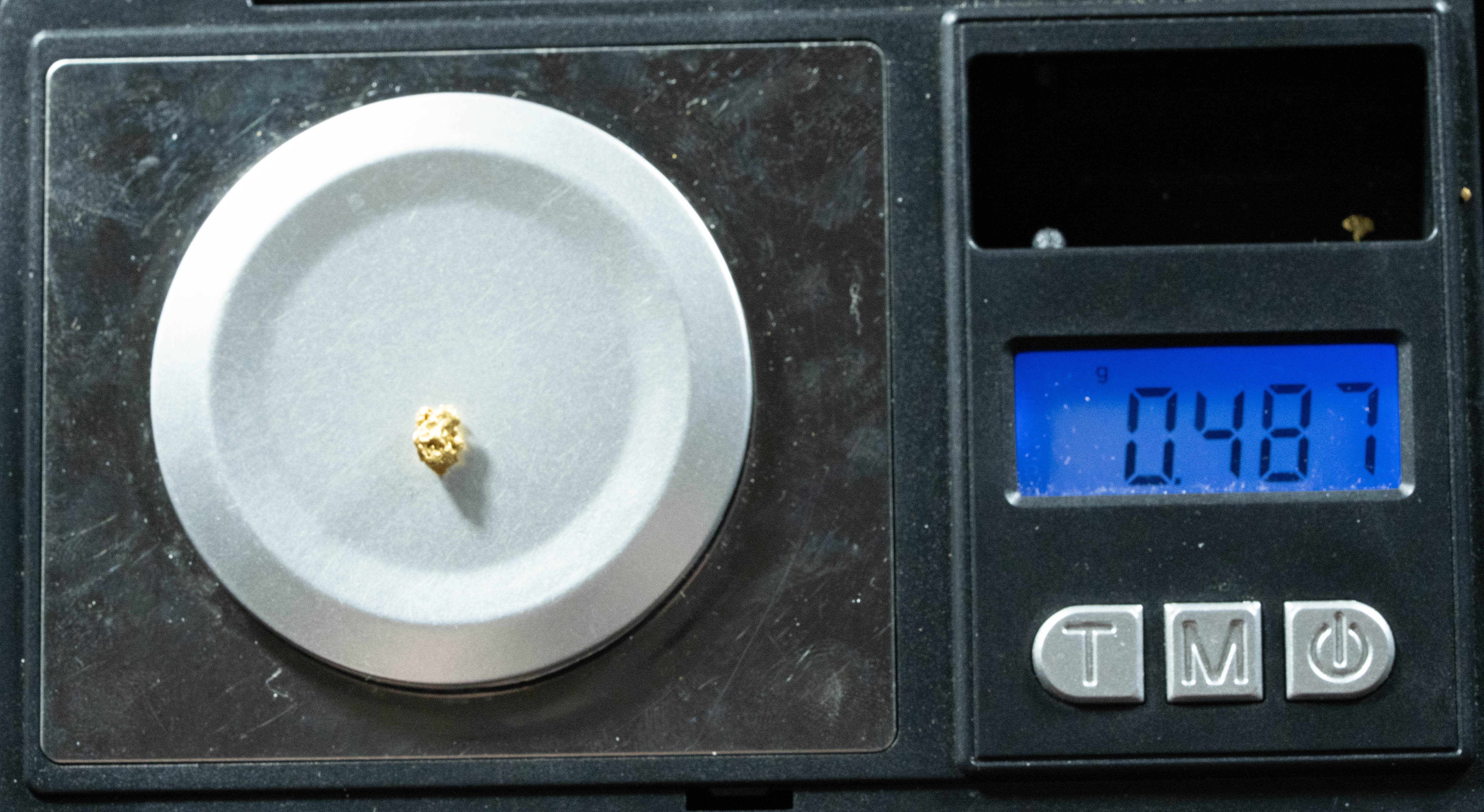 #822 Natural Gold Nugget Australian .487 Grams Genuine