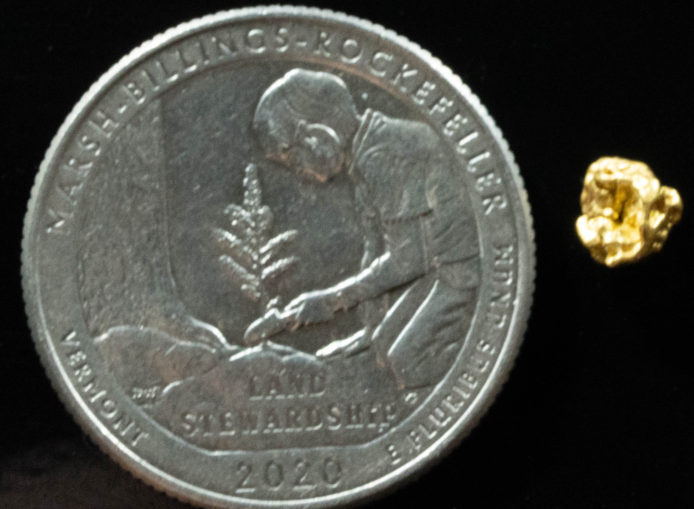 #824 Natural Gold Nugget Australian .454 Grams Genuine