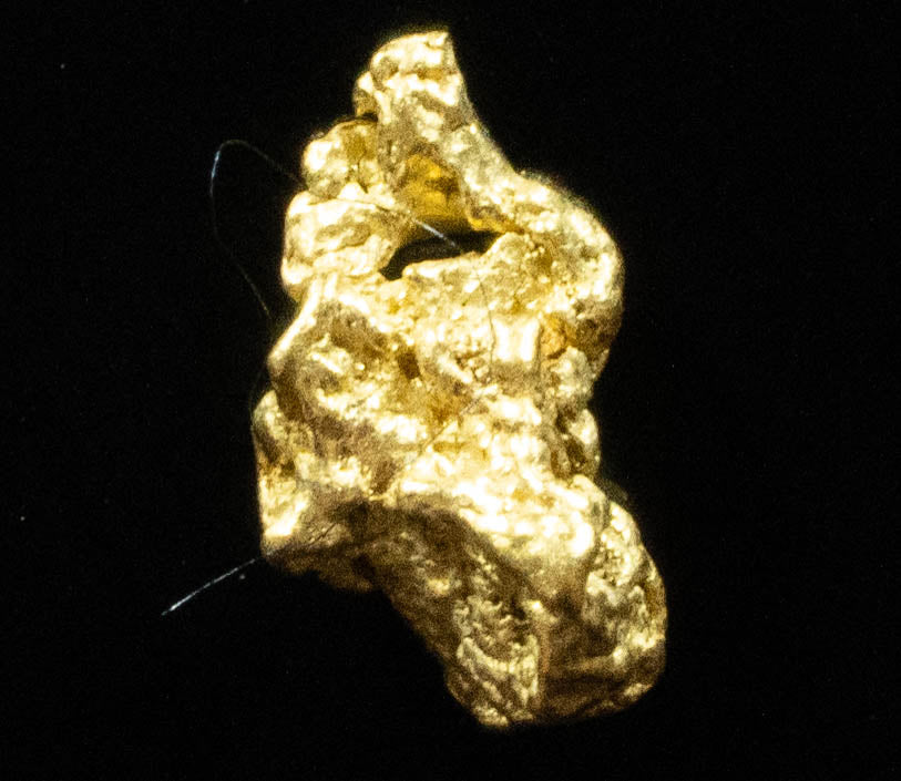#825 Natural Gold Nugget Australian .483 Grams Genuine