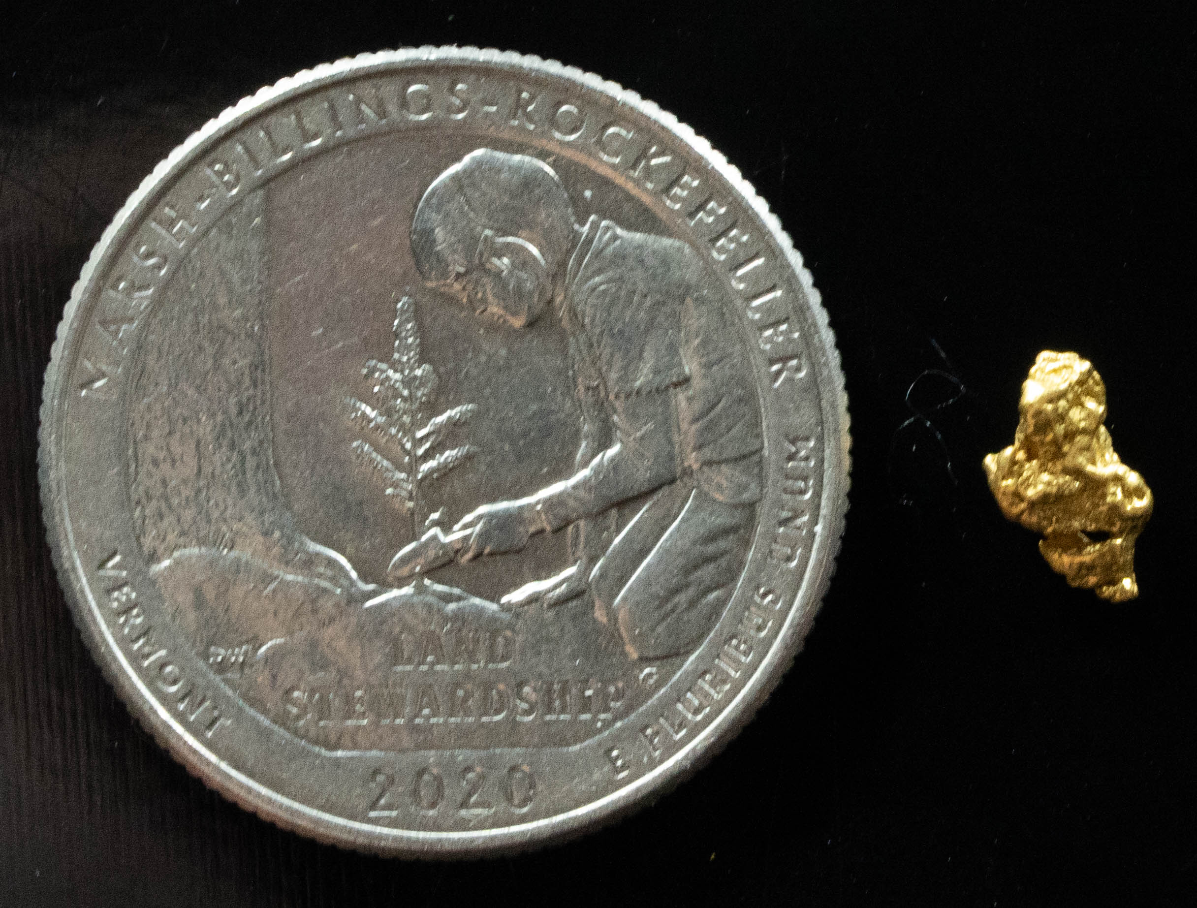 #825 Natural Gold Nugget Australian .483 Grams Genuine