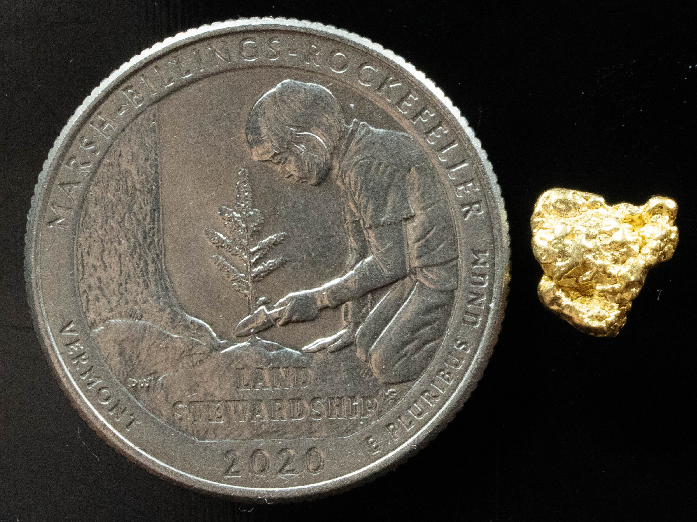 #4 Alaskan BC Natural Gold Nugget .87 Grams Genuine