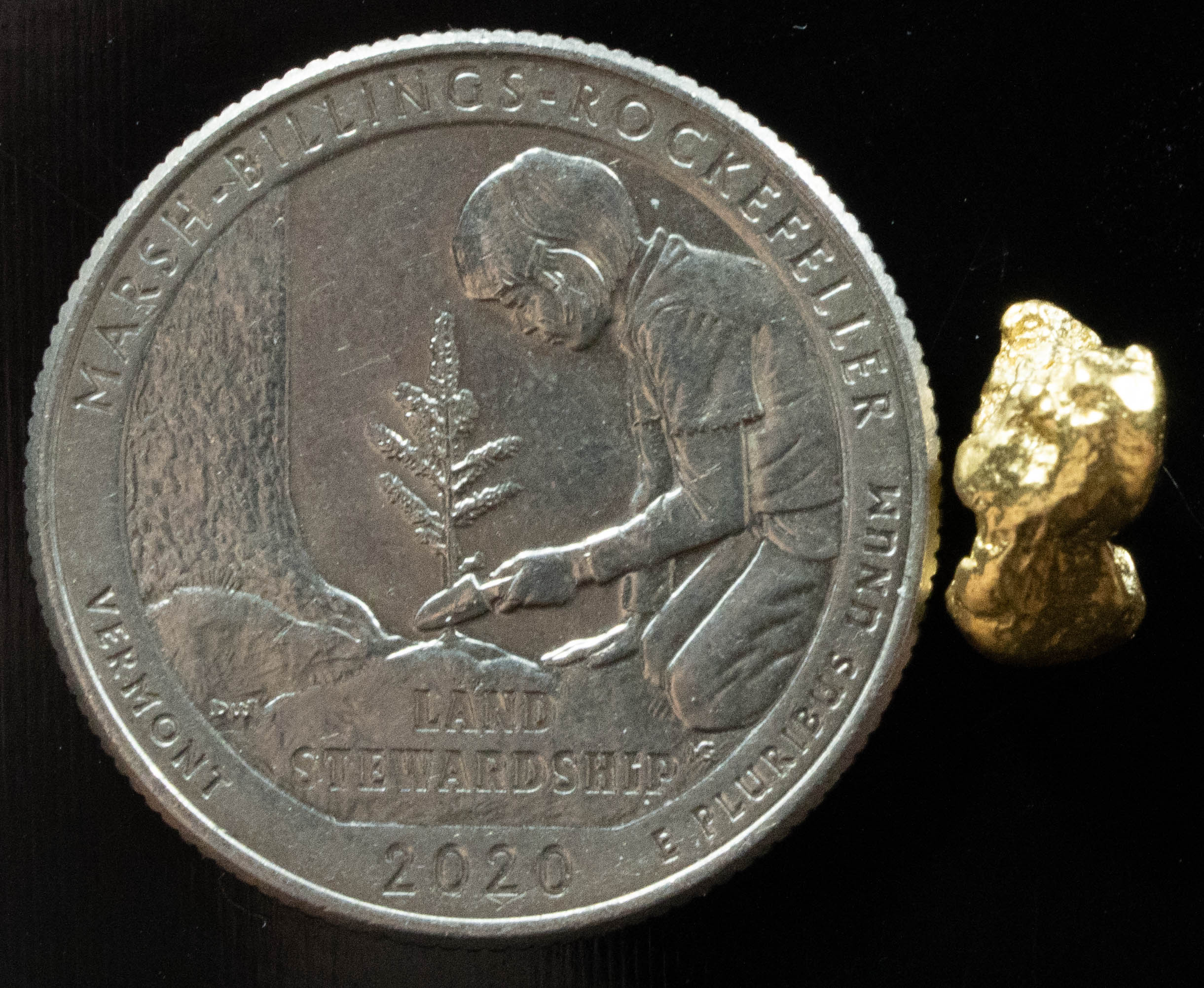 #130 Alaskan BC Natural Gold Nugget 1.46 Grams Genuine