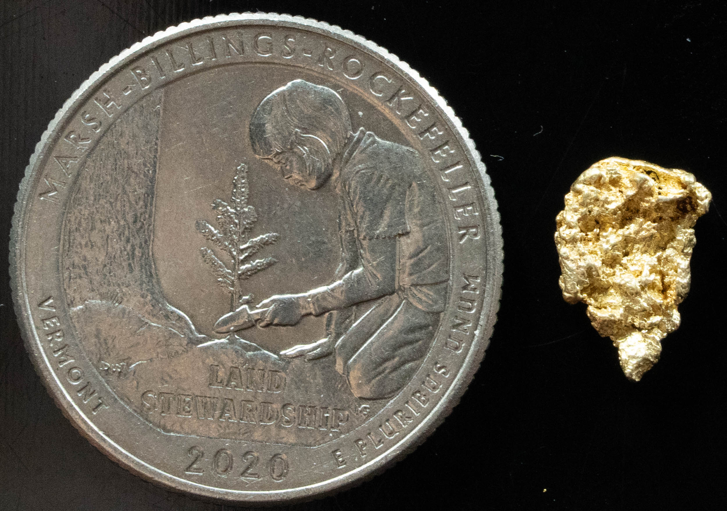 #134 Alaskan BC Natural Gold Nugget .80 Grams Genuine