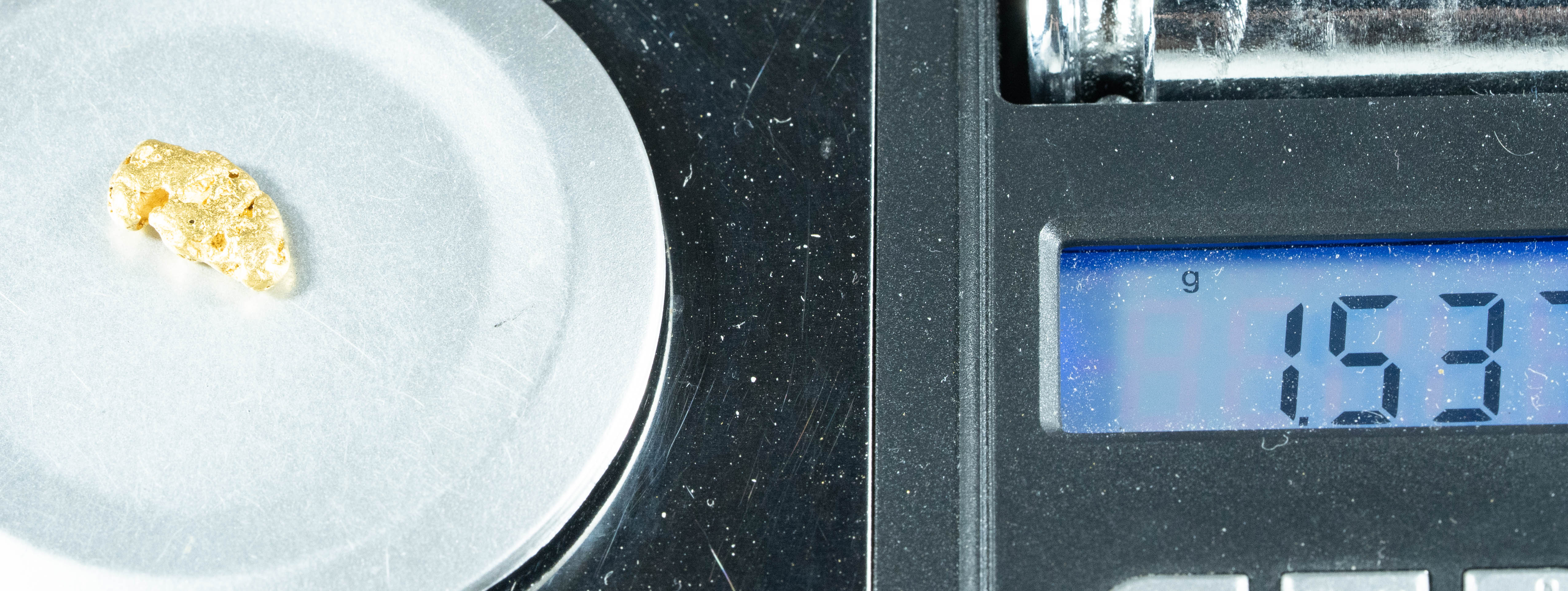 #24 Alaskan BC Natural Gold Nugget 1.53 Grams Genuine