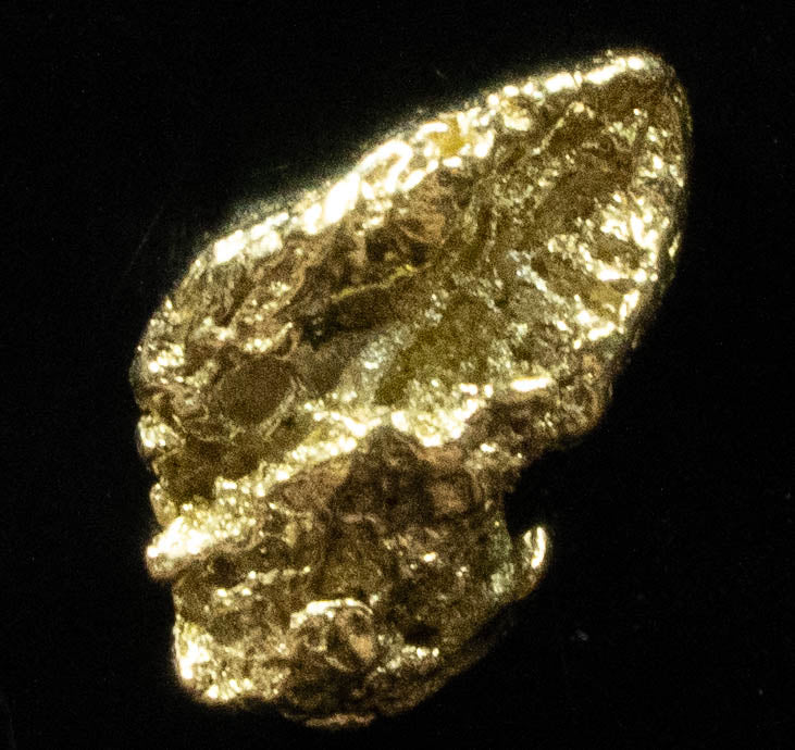 #98 Alaskan BC Natural Gold Nugget .54 Grams Genuine