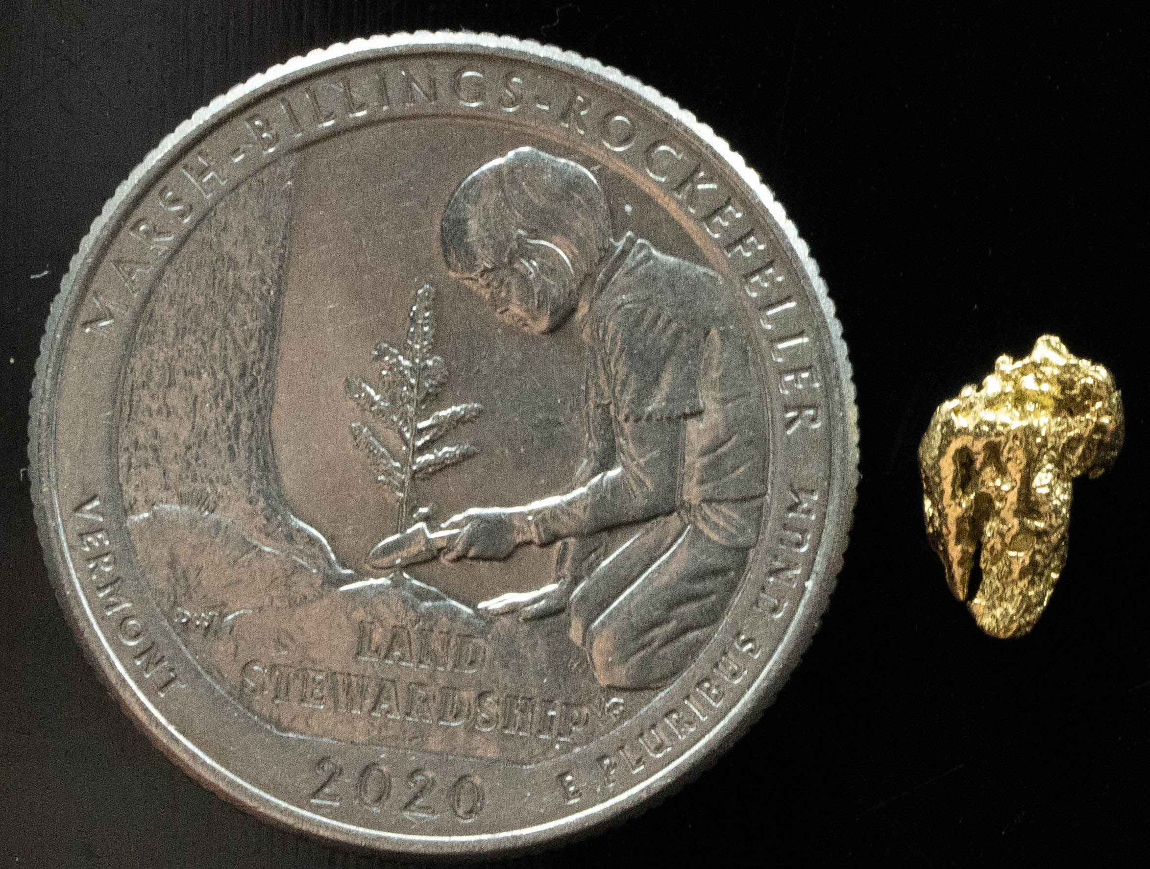 #98 Alaskan BC Natural Gold Nugget .54 Grams Genuine