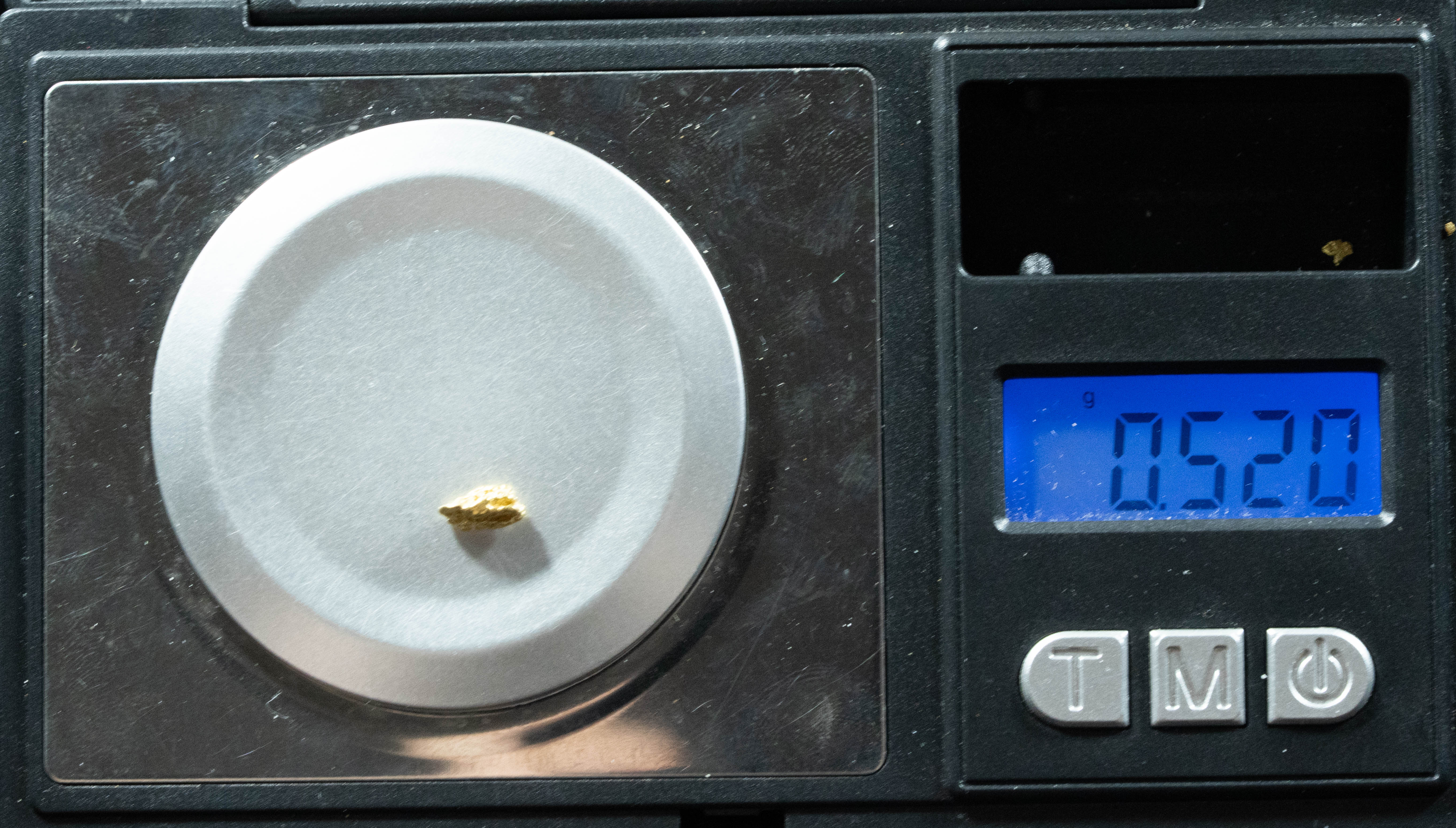 #99 Alaskan BC Natural Gold Nugget .52 Grams Genuine