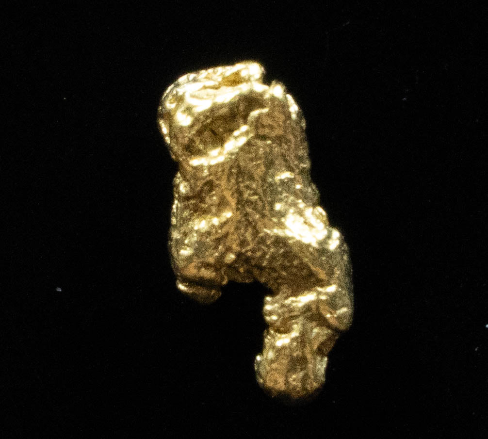 #103 Alaskan BC Natural Gold Nugget .517 Grams Genuine