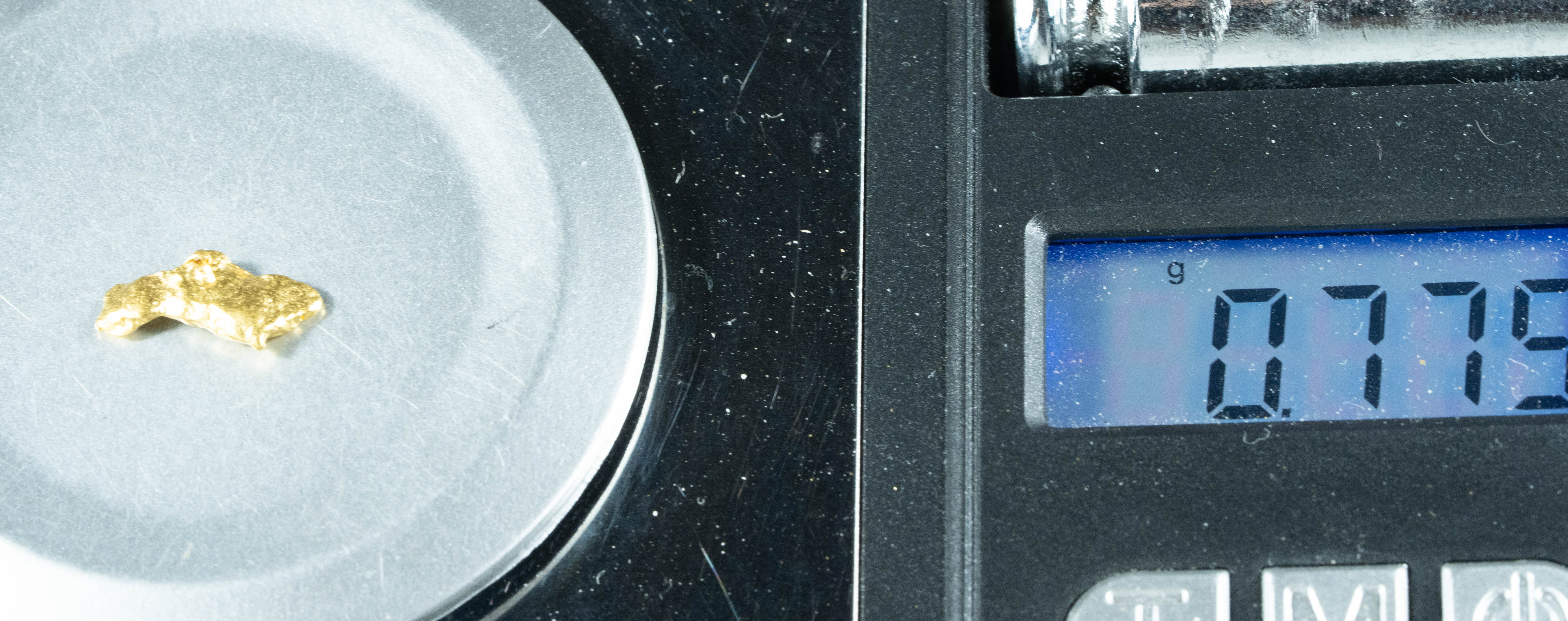 #721 Natural Gold Nugget Australian .77 Grams Genuine