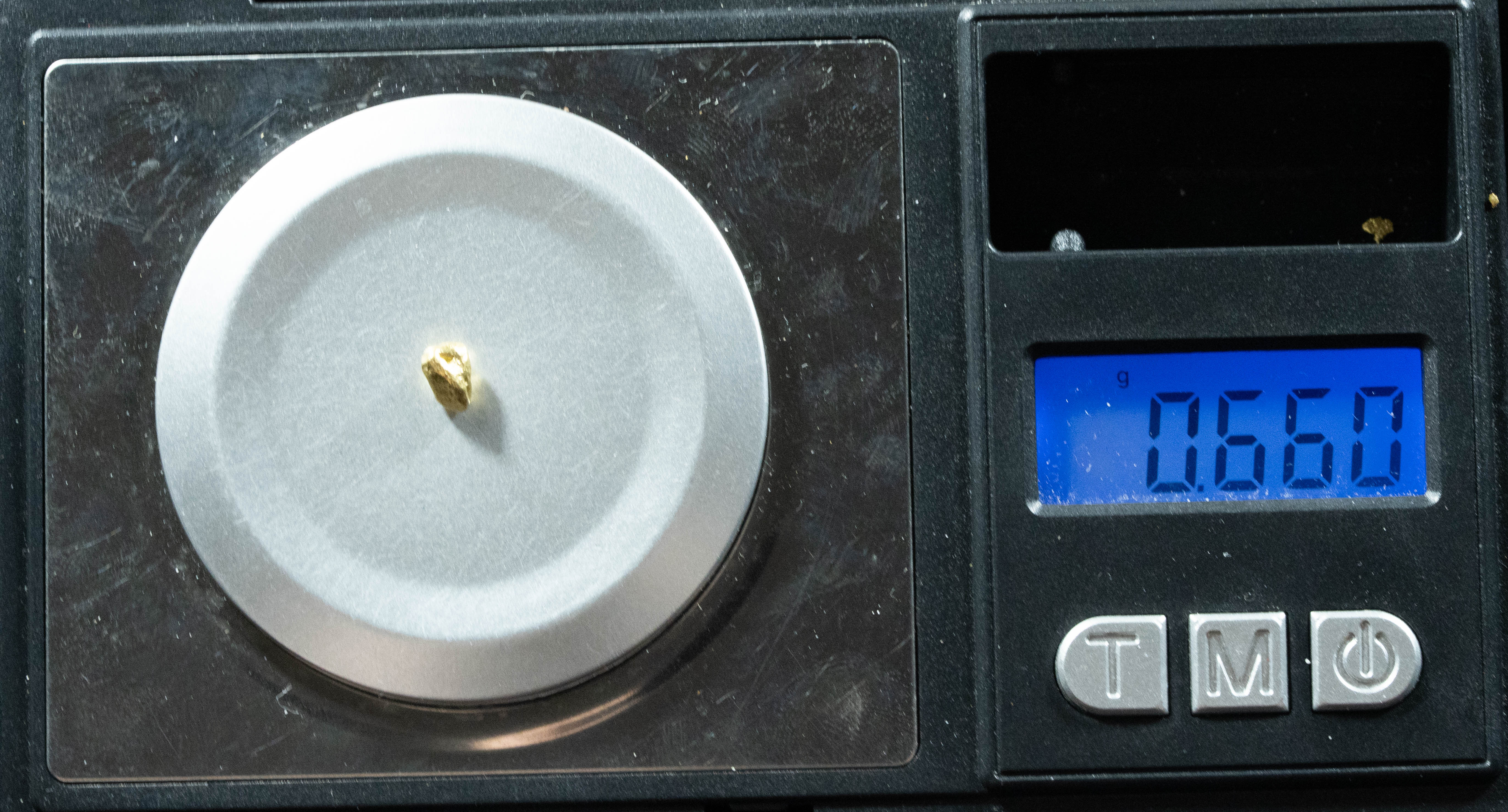 #110 Alaskan BC Natural Gold Nugget .66 Grams Genuine